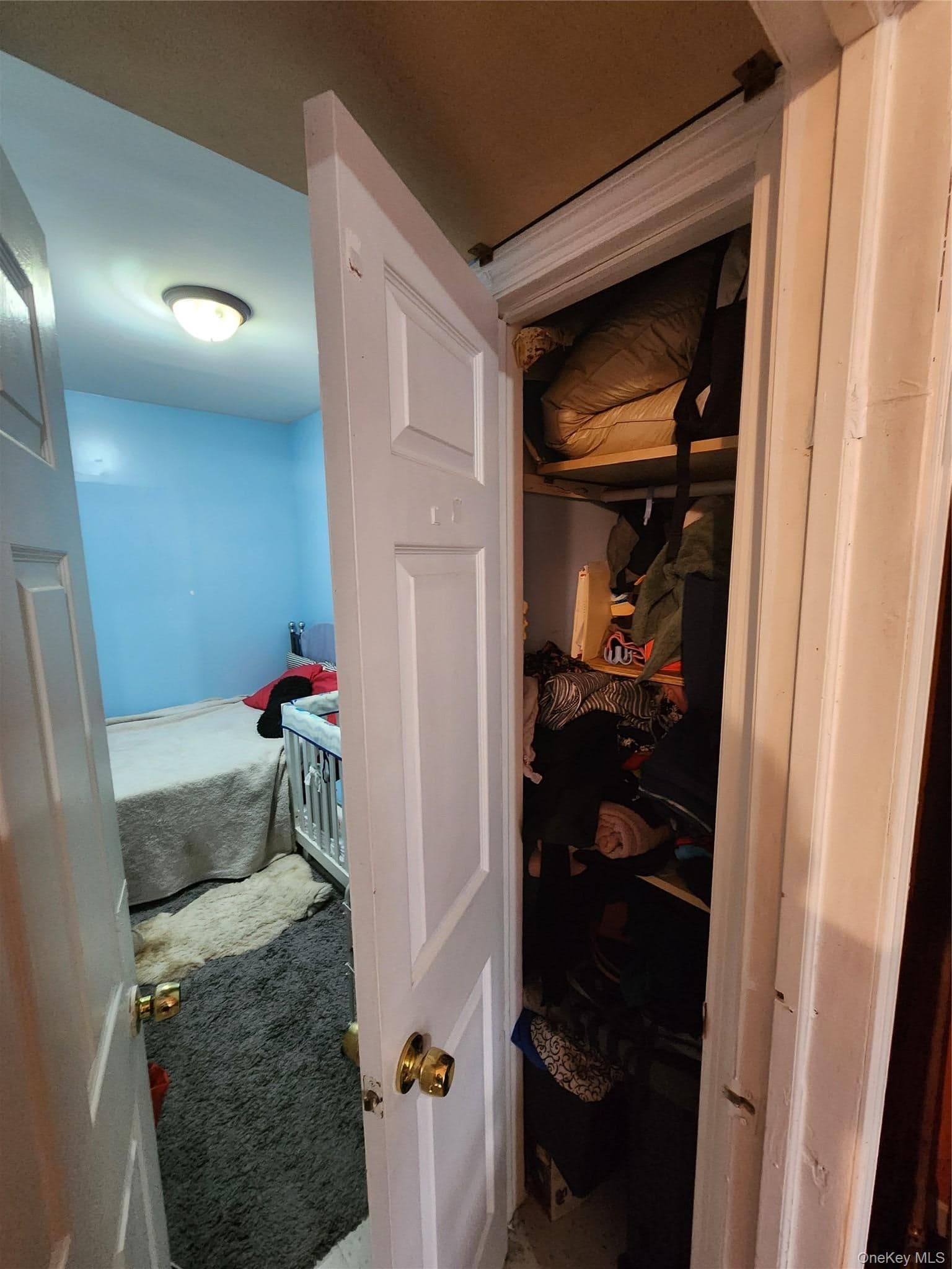 568 Drew Street thumbnail 15