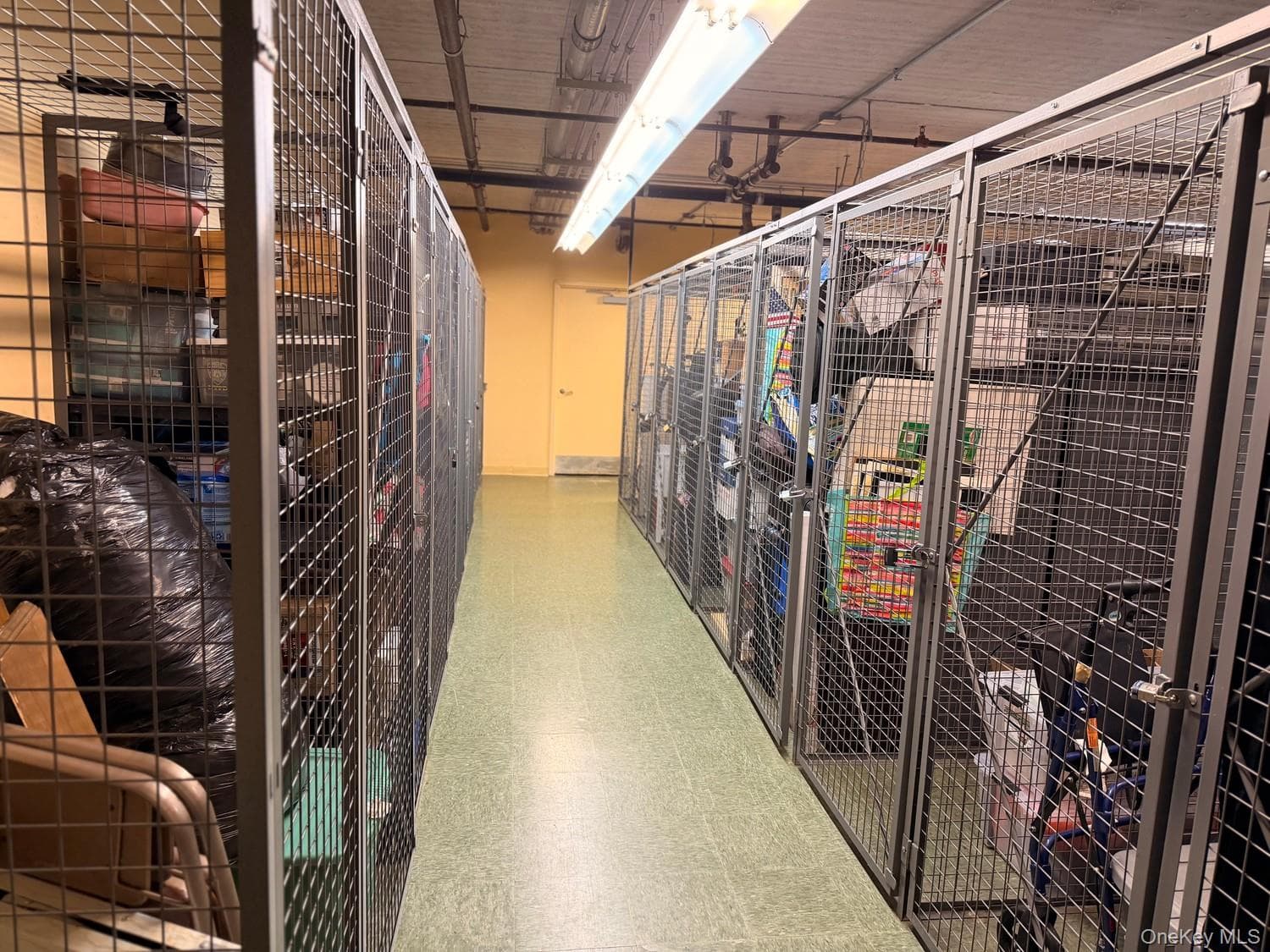 50 Merrick Avenue Unit: 405 thumbnail 32