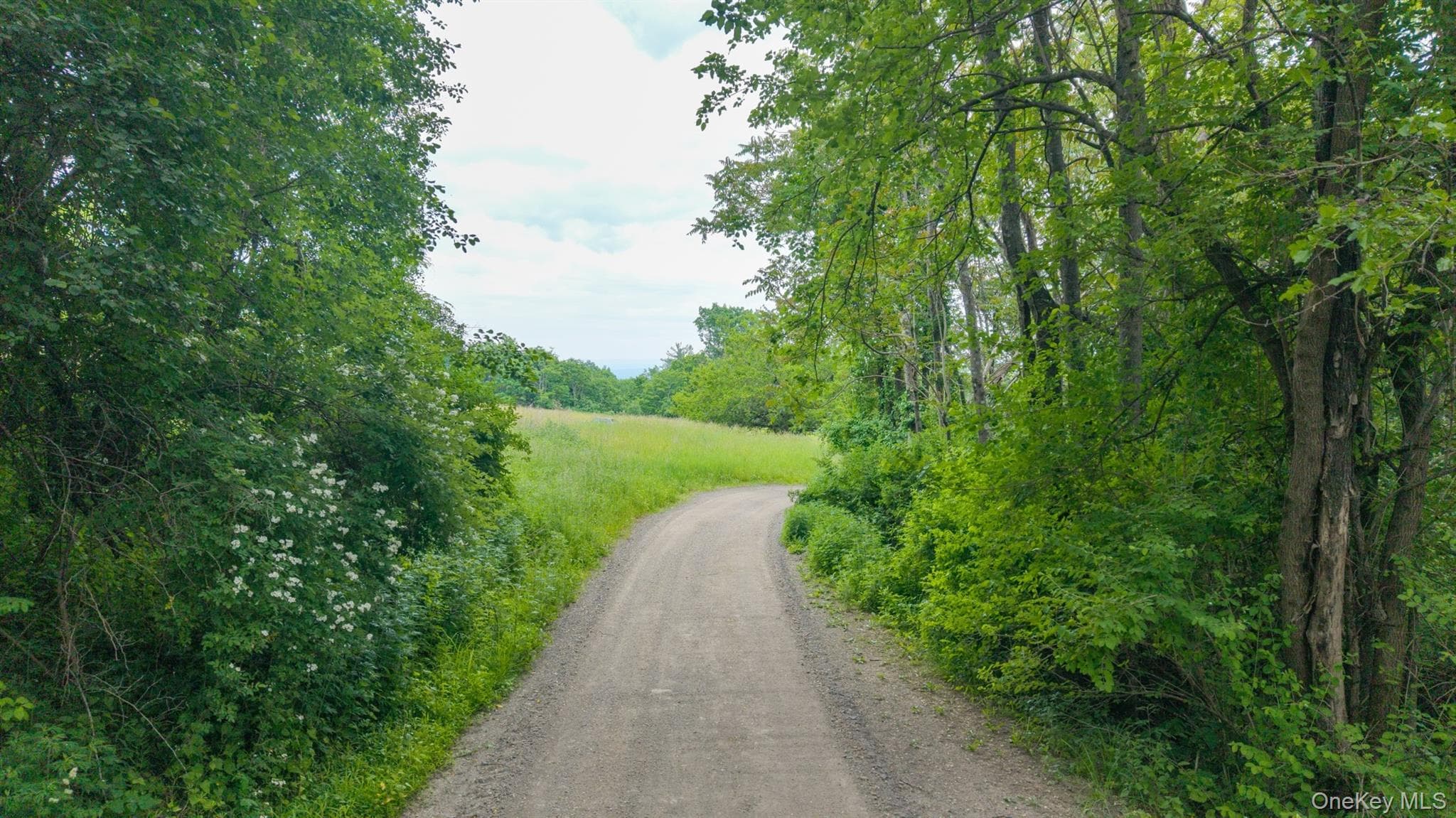 TBD Skinner Lane thumbnail 15