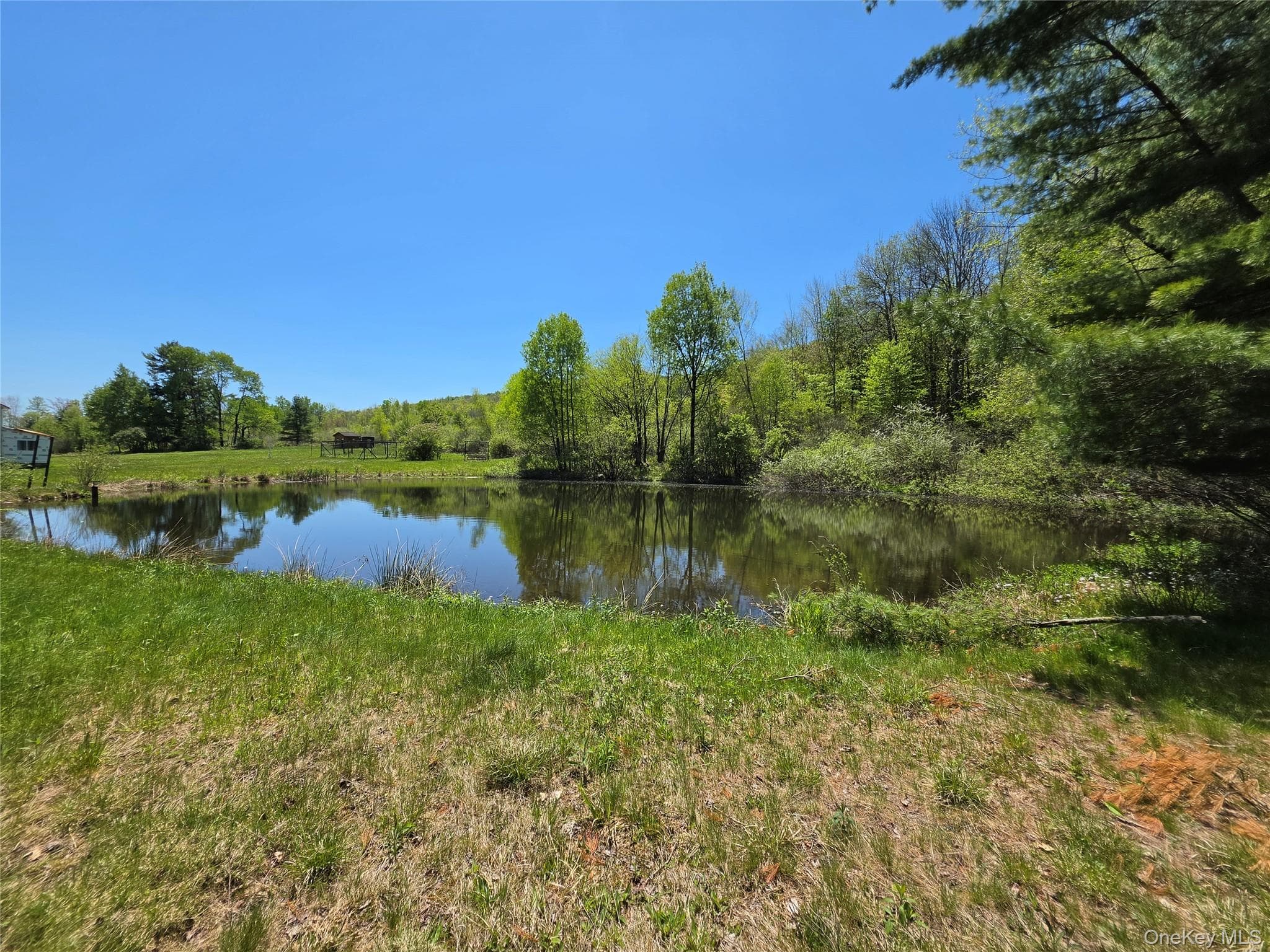 295 Jeffersonville North Branch Road thumbnail 20