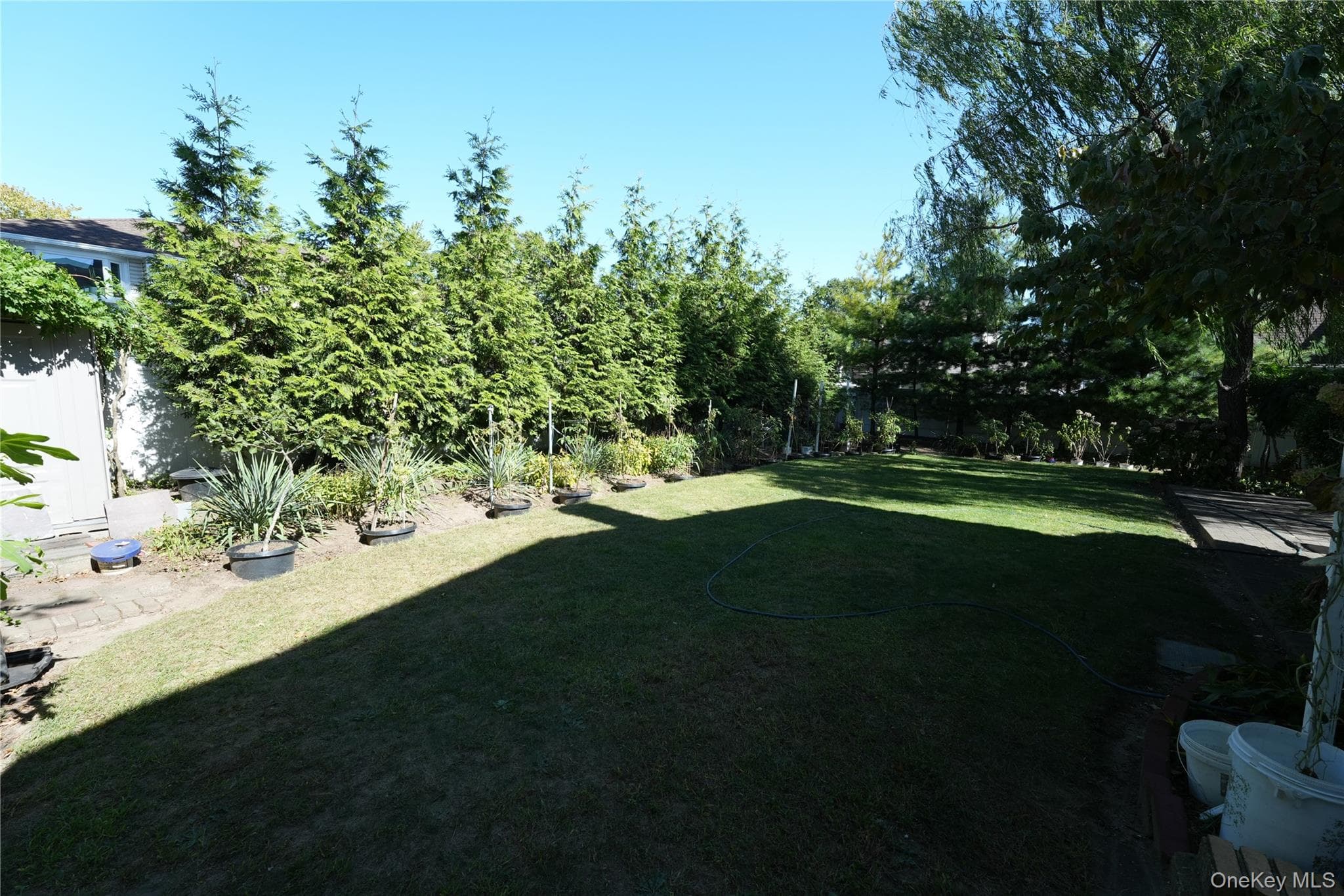368 Merrifield Avenue thumbnail 22