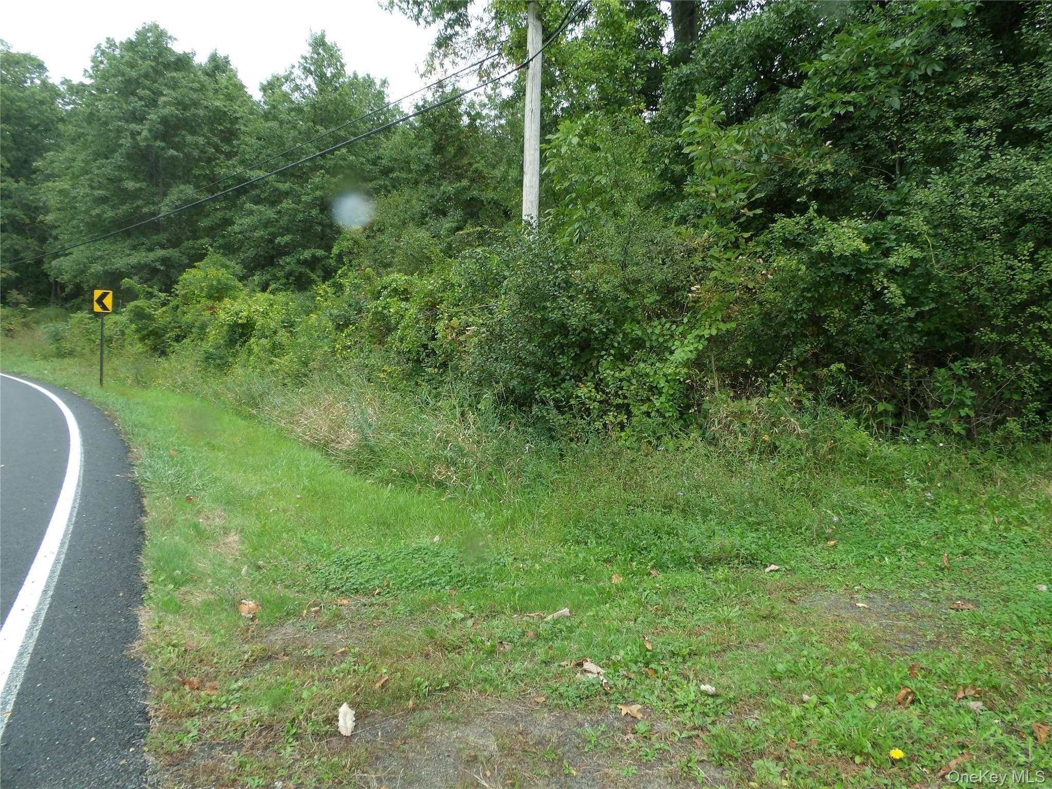 Bull Road thumbnail 10