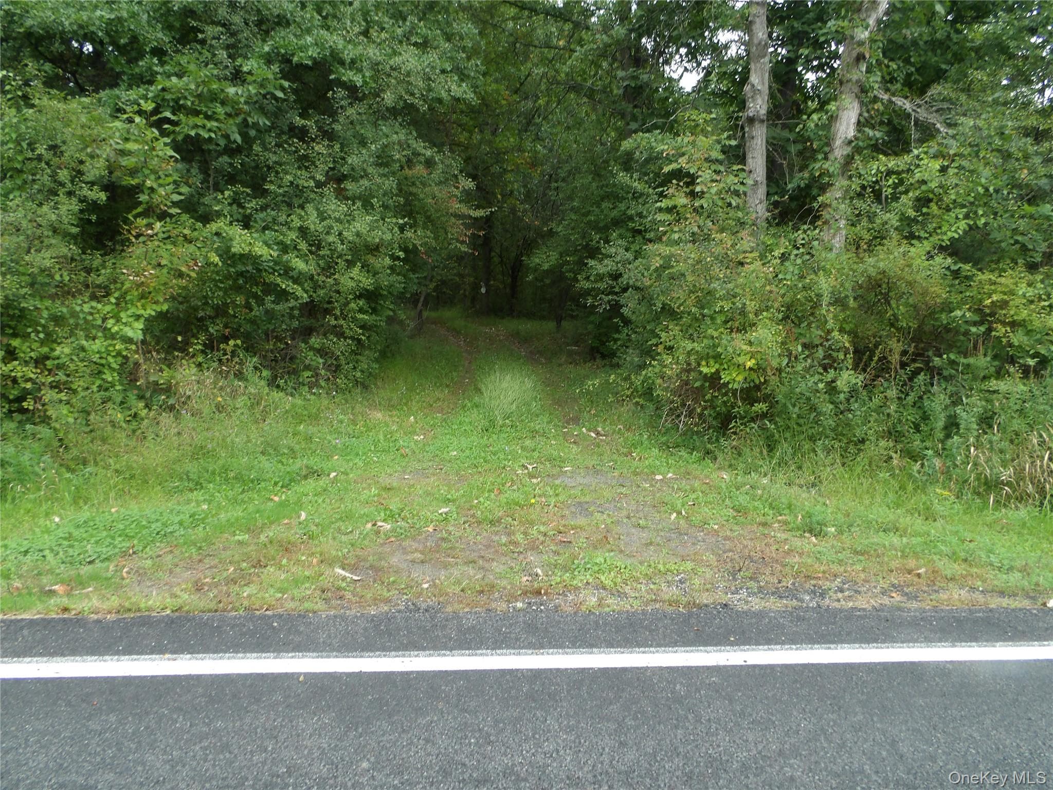Bull Road thumbnail 11