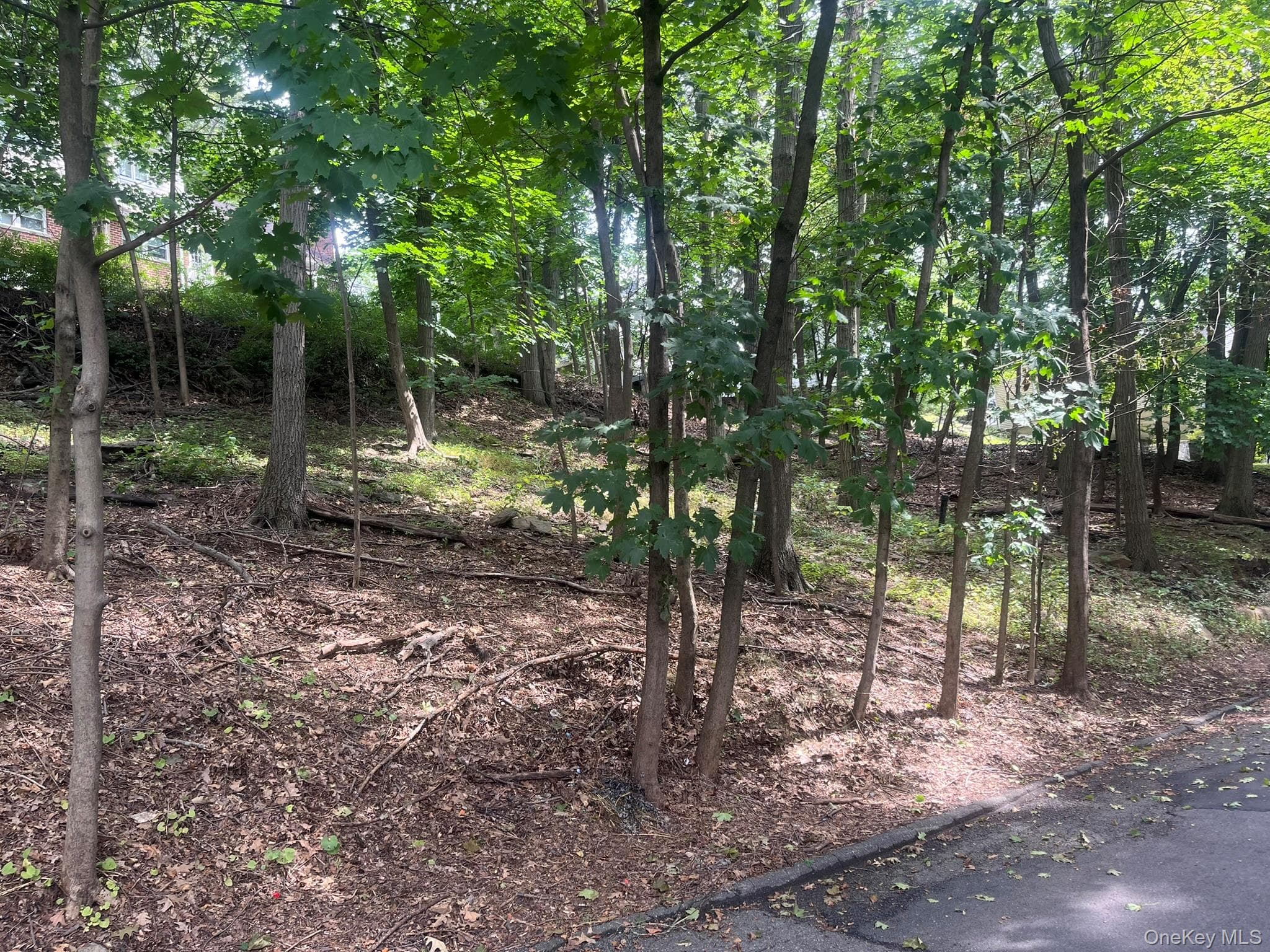 0 Springwood Avenue, Ardsley