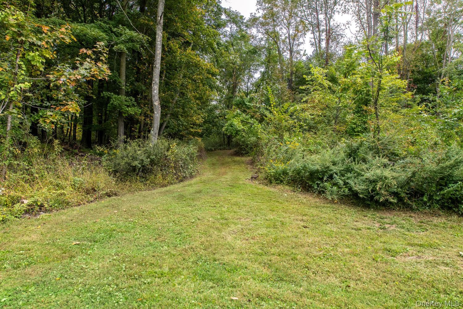 5 Vail Road thumbnail 46