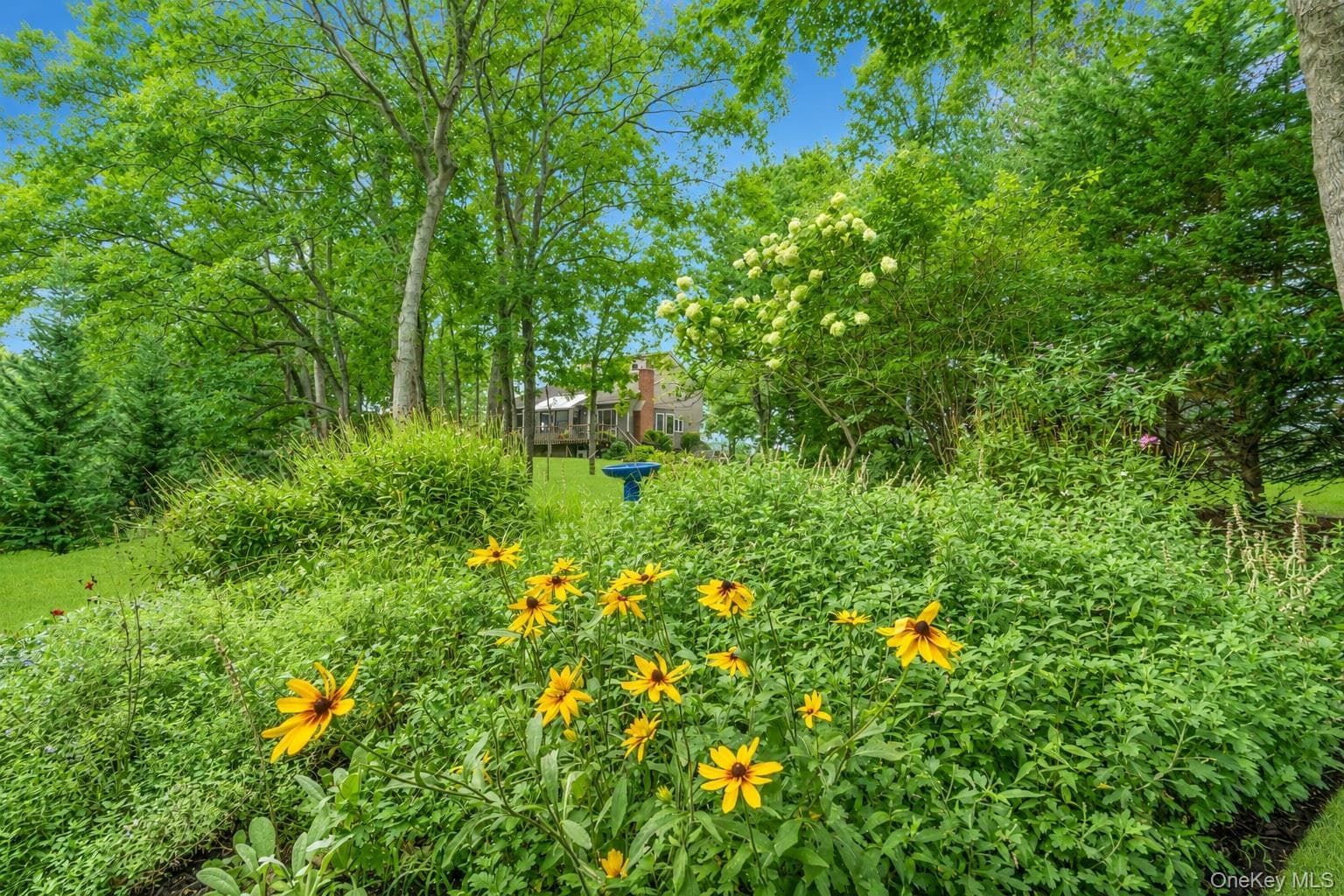 1541 Stillwater Avenue thumbnail 8