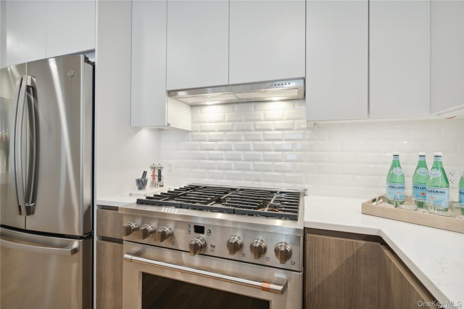 218 Middle Neck Road Unit: 213 thumbnail 24