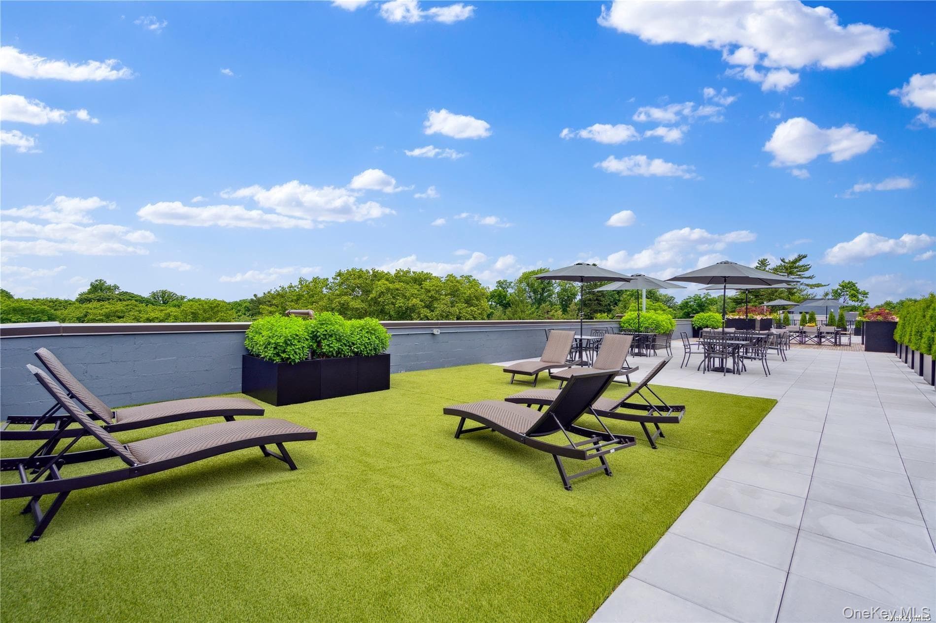 218 Middle Neck Road Unit: 213 thumbnail 12