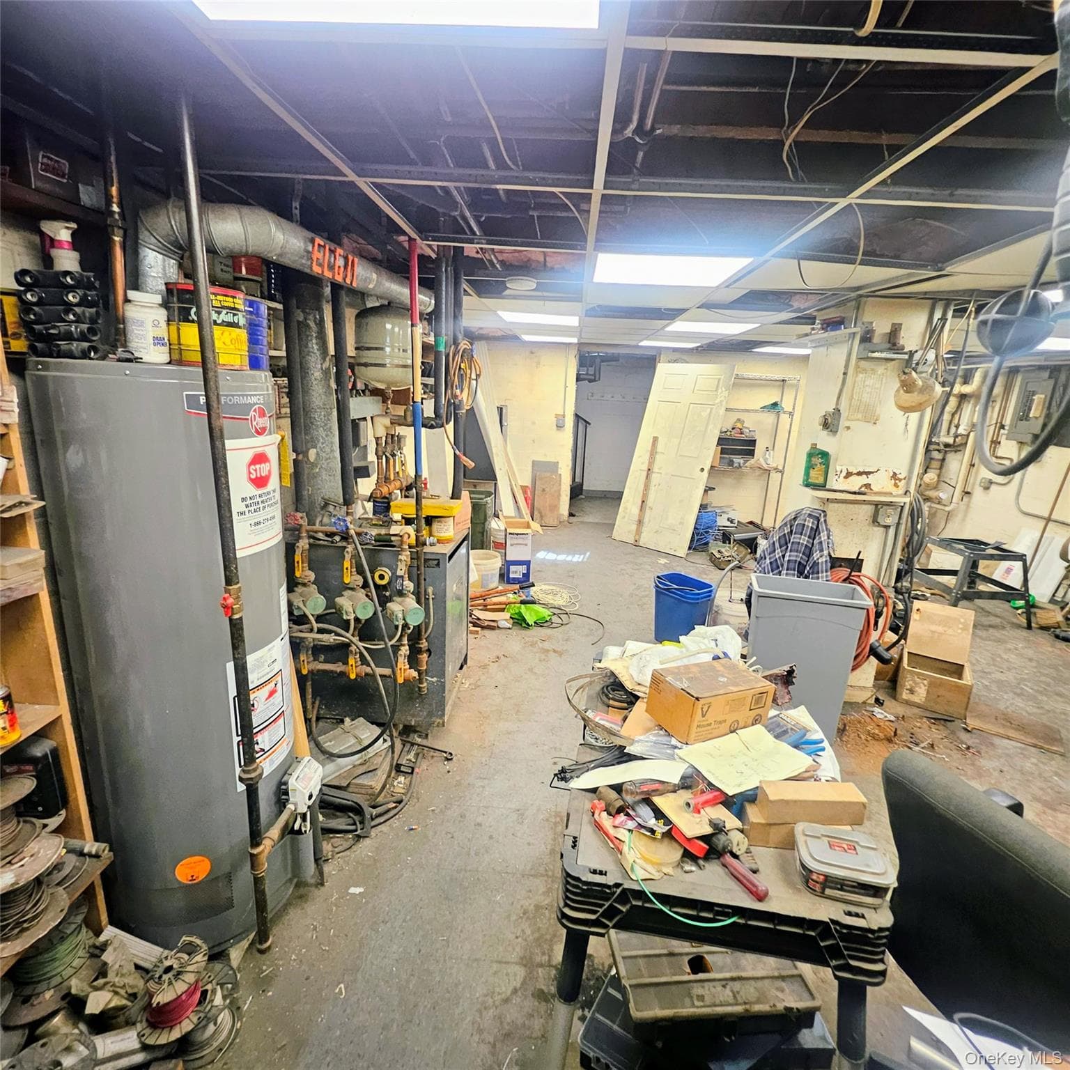 623 Willow Street thumbnail 5