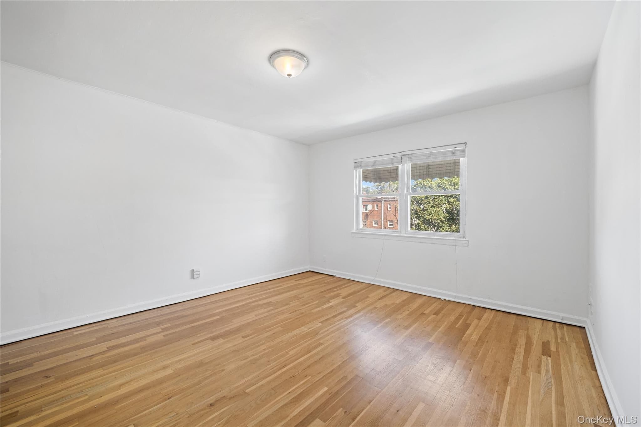 1047 E 217th Street thumbnail 19