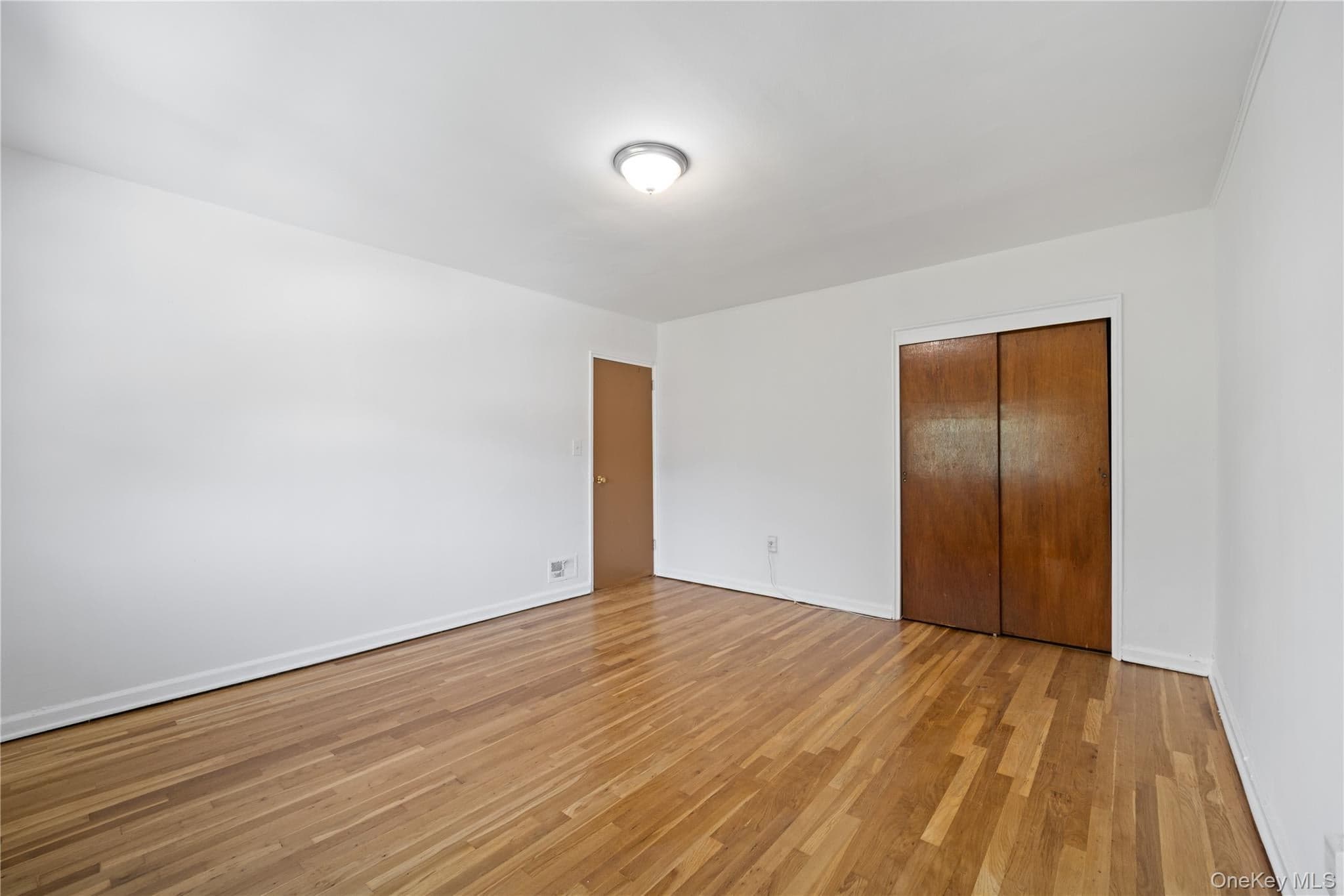 1047 E 217th Street thumbnail 20