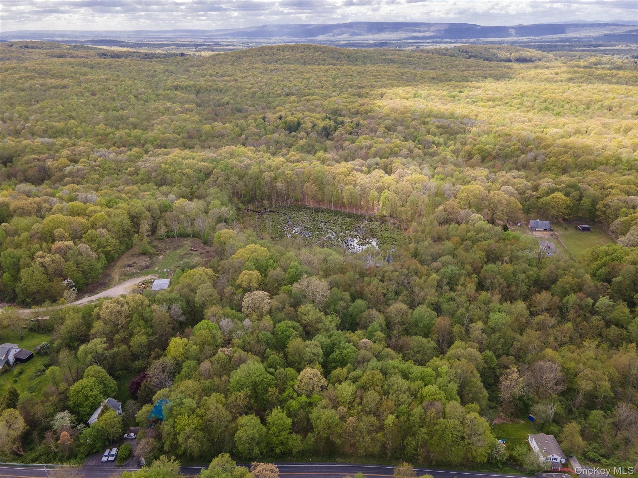 213 Tuckers Corners Road thumbnail 13