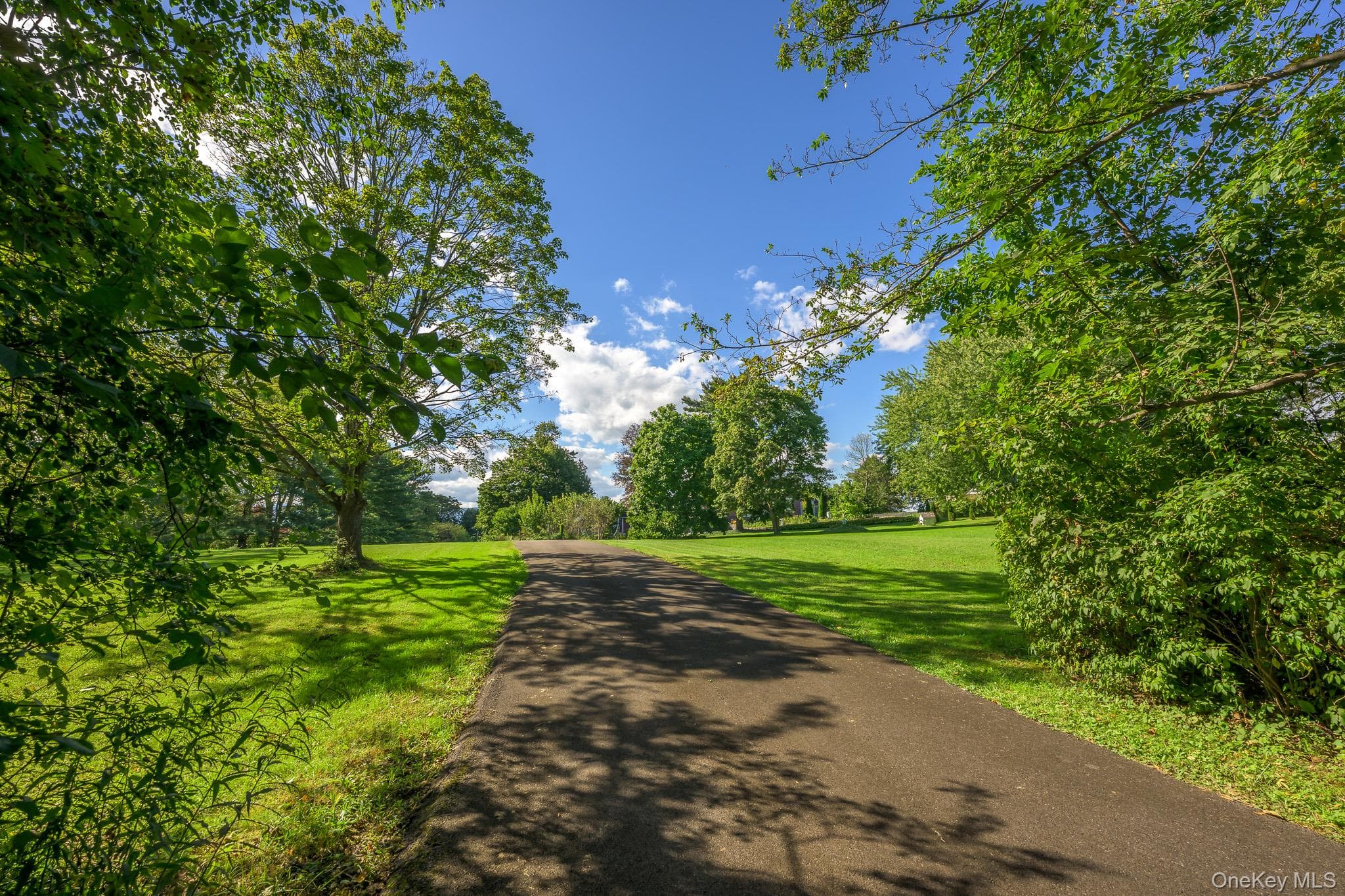 1166 Woods Road thumbnail 5