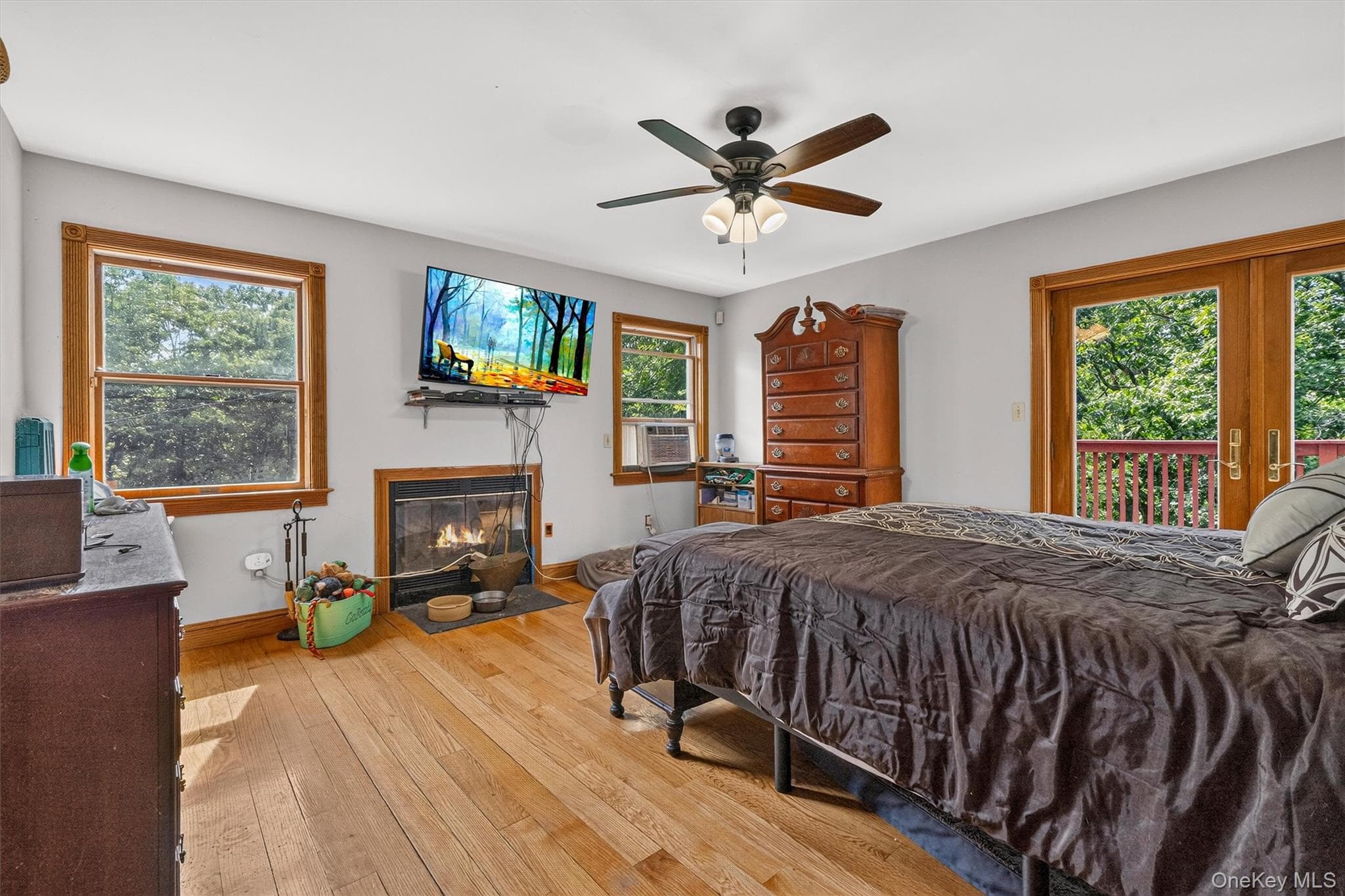 65 Oxford Springs Road thumbnail 23