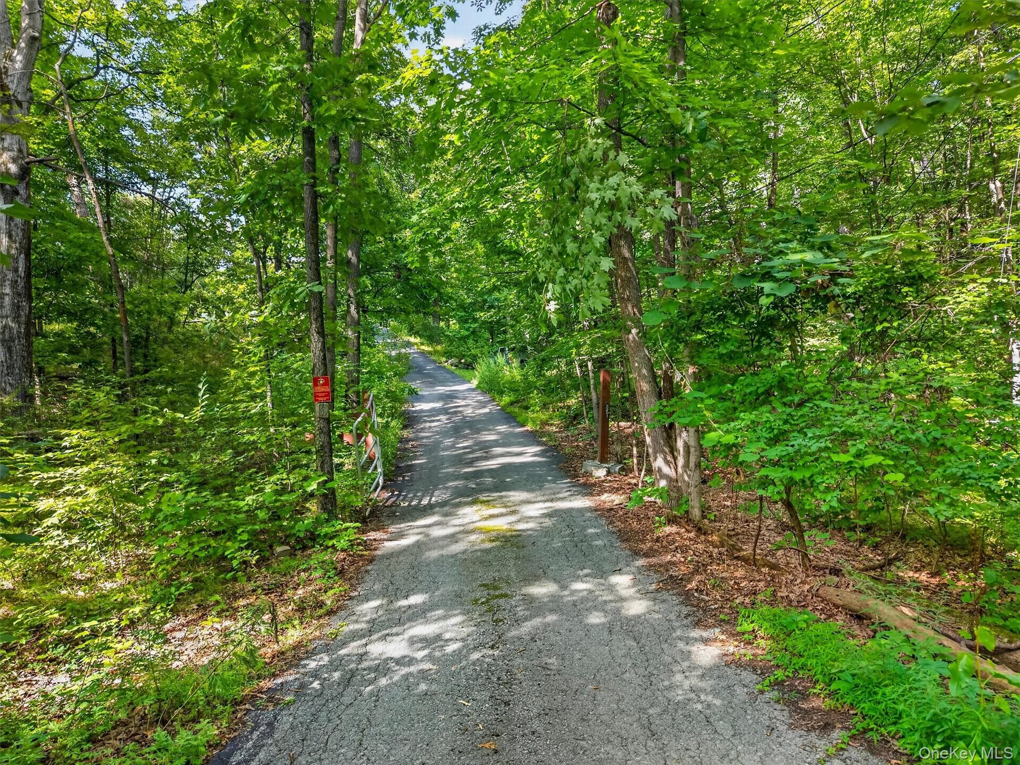 65 Oxford Springs Road thumbnail 32