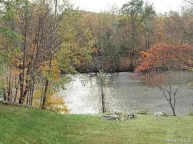 6197 State Route 42 thumbnail 24