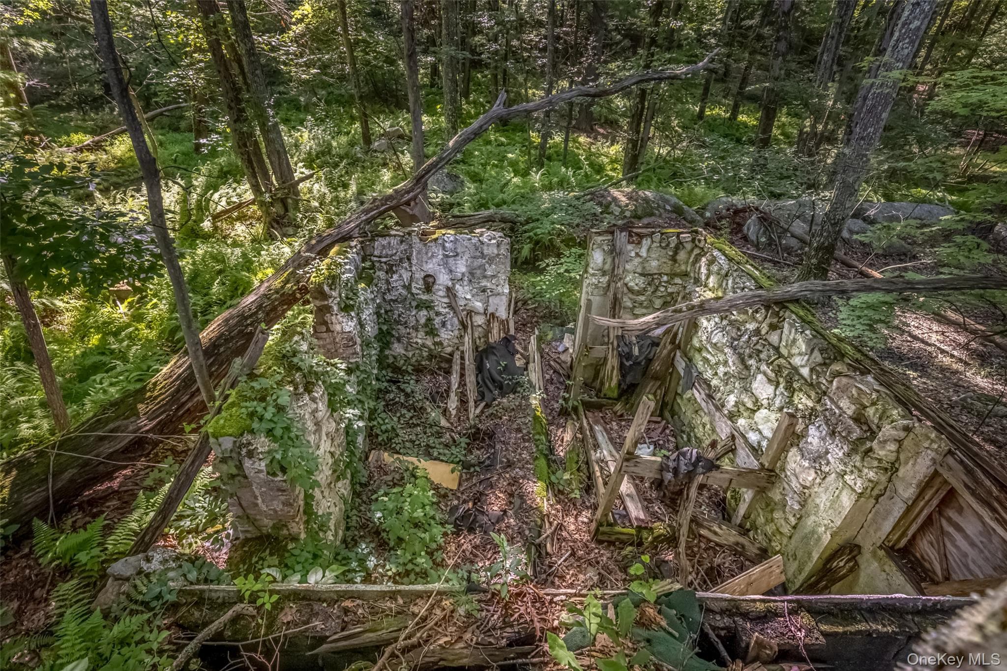 Old Plank Road thumbnail 11