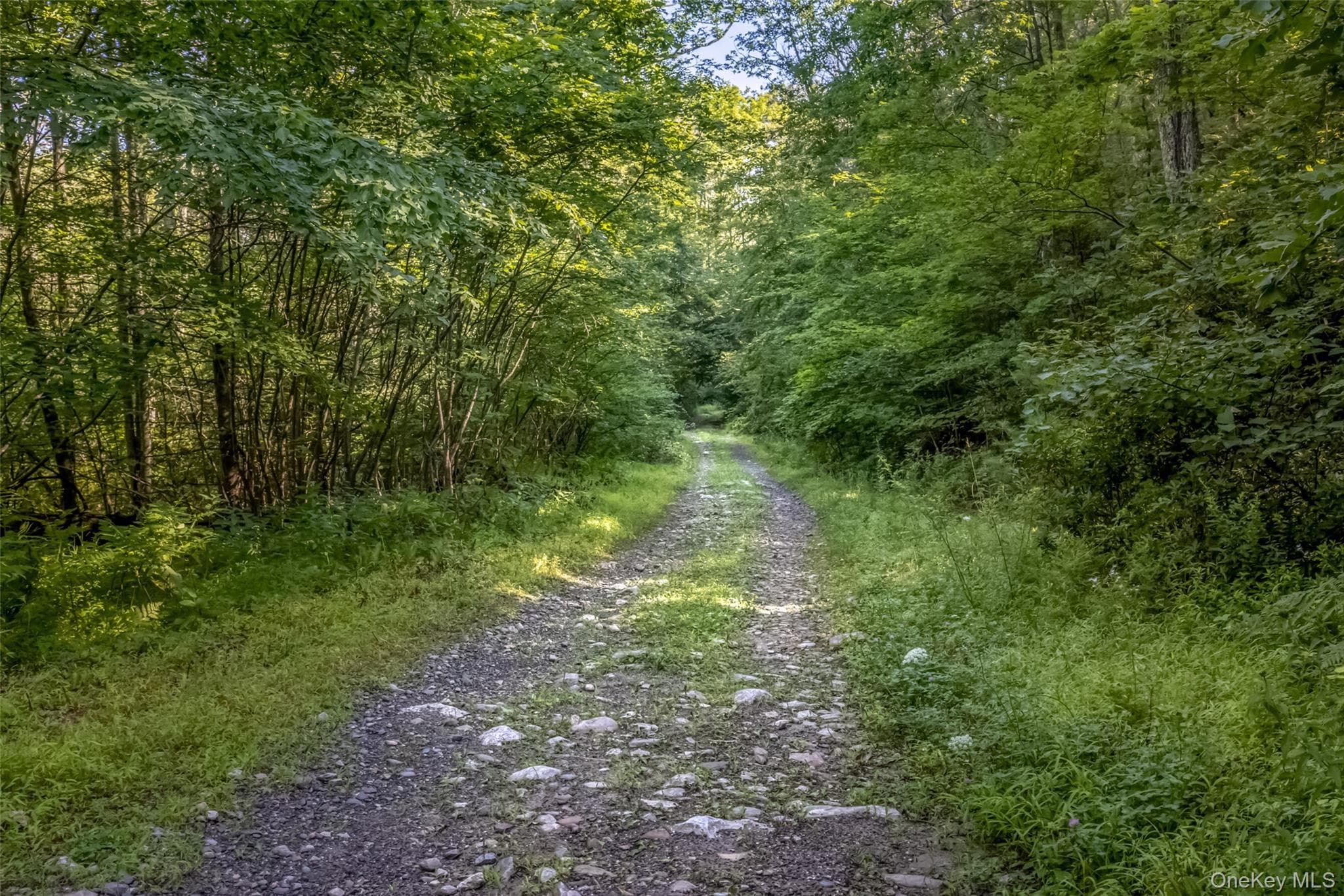 Old Plank Road thumbnail 7