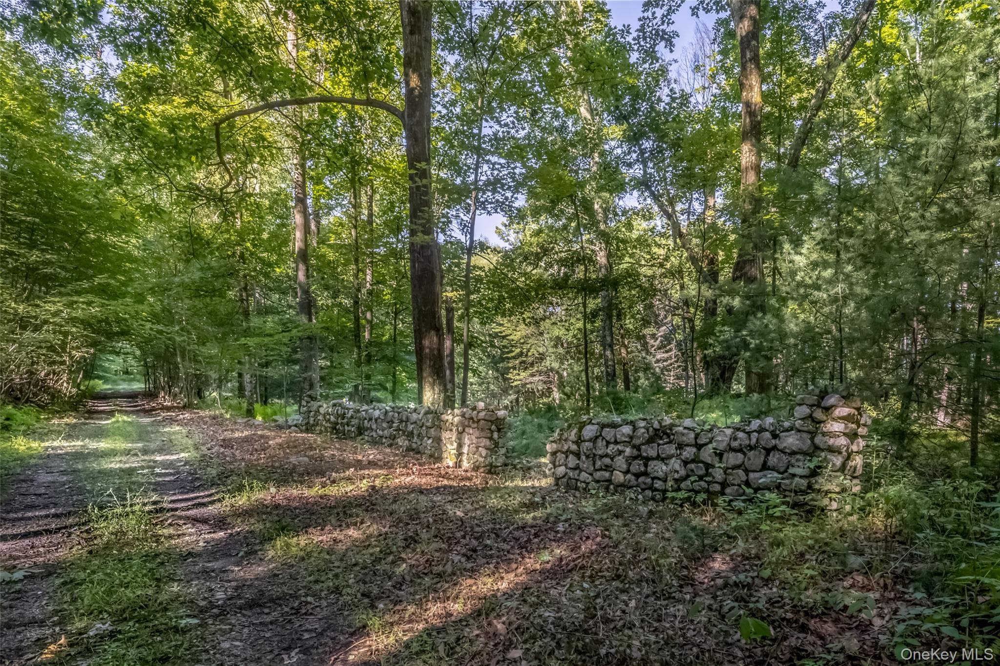 Old Plank Road thumbnail 8