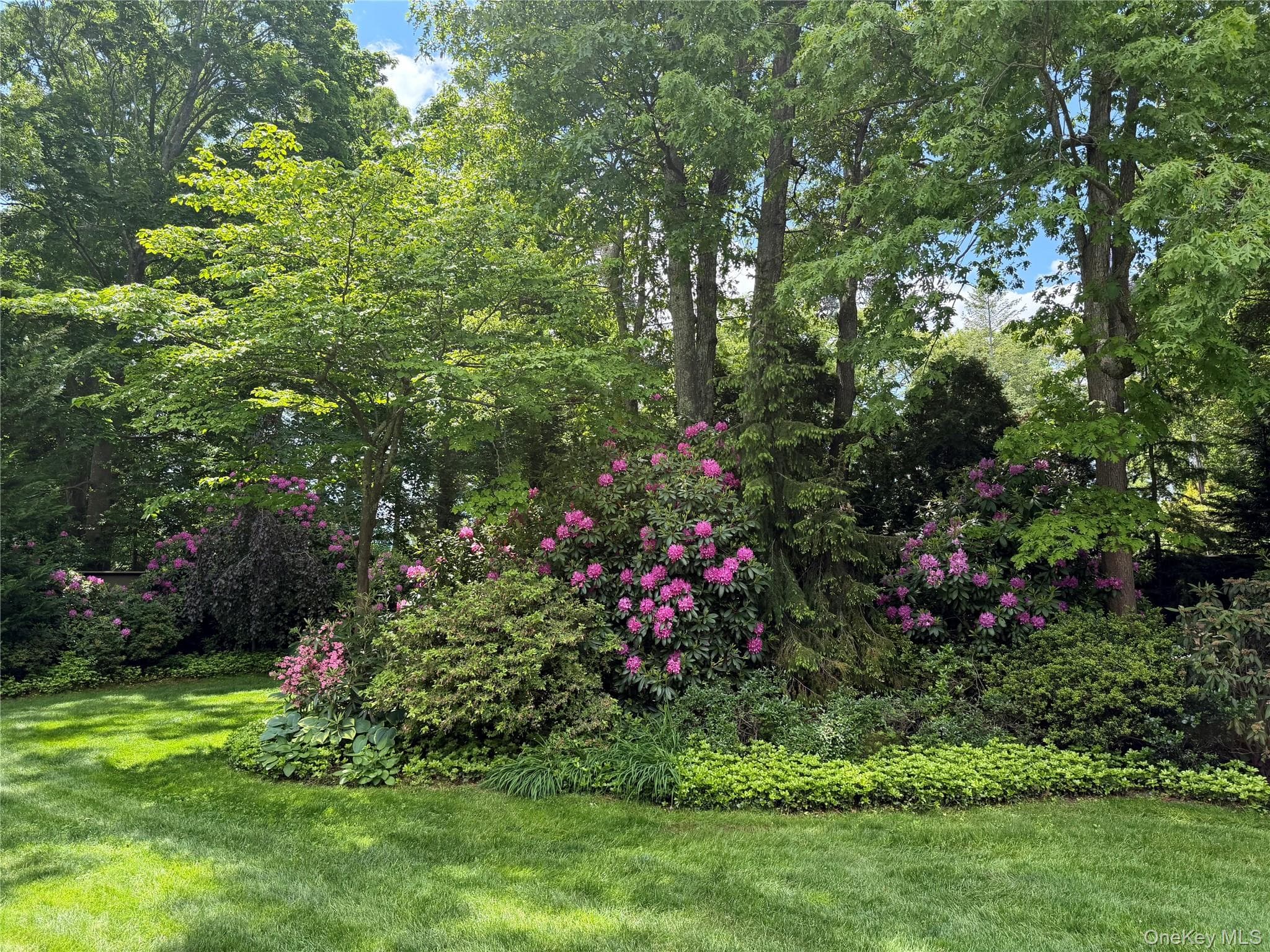 39 Daly Court thumbnail 19