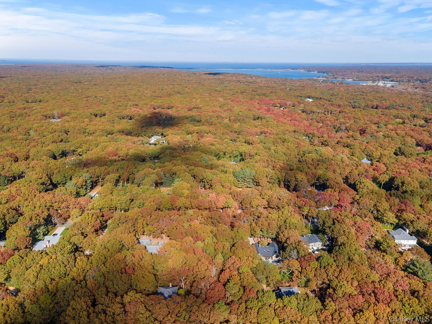 38 Wooded Oak Lane thumbnail 5