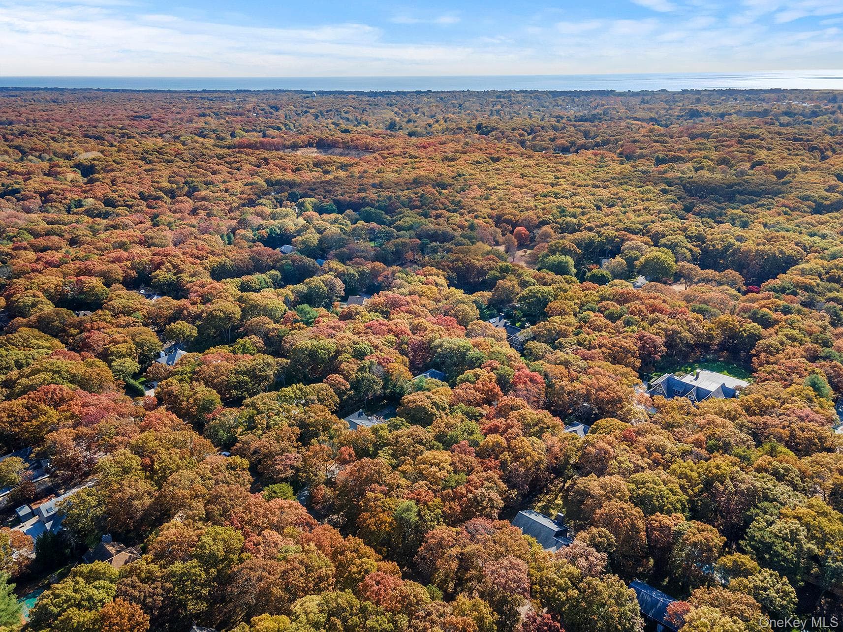 38 Wooded Oak Lane thumbnail 4