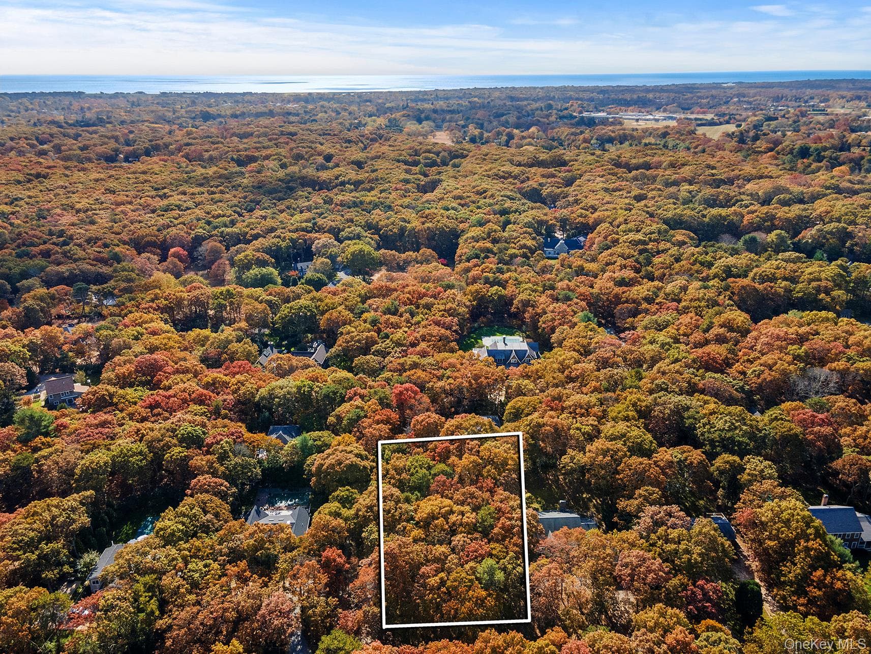 38 Wooded Oak Lane thumbnail 2
