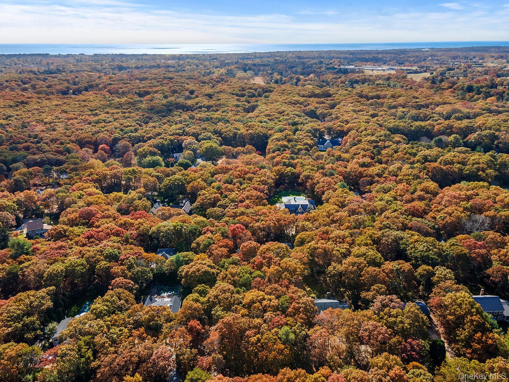 38 Wooded Oak Lane thumbnail 3