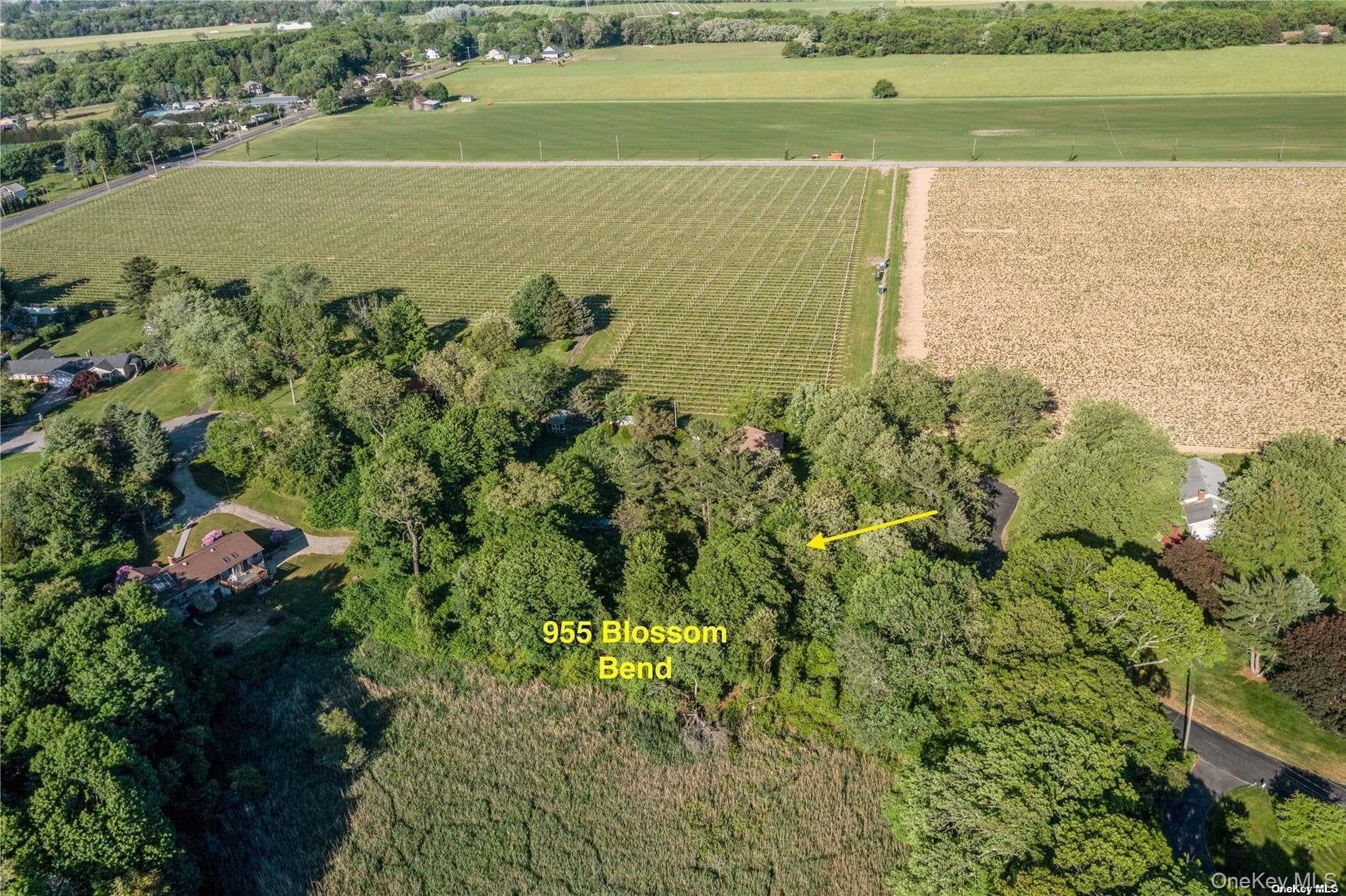 955 Blossom Bend Bnd thumbnail 4