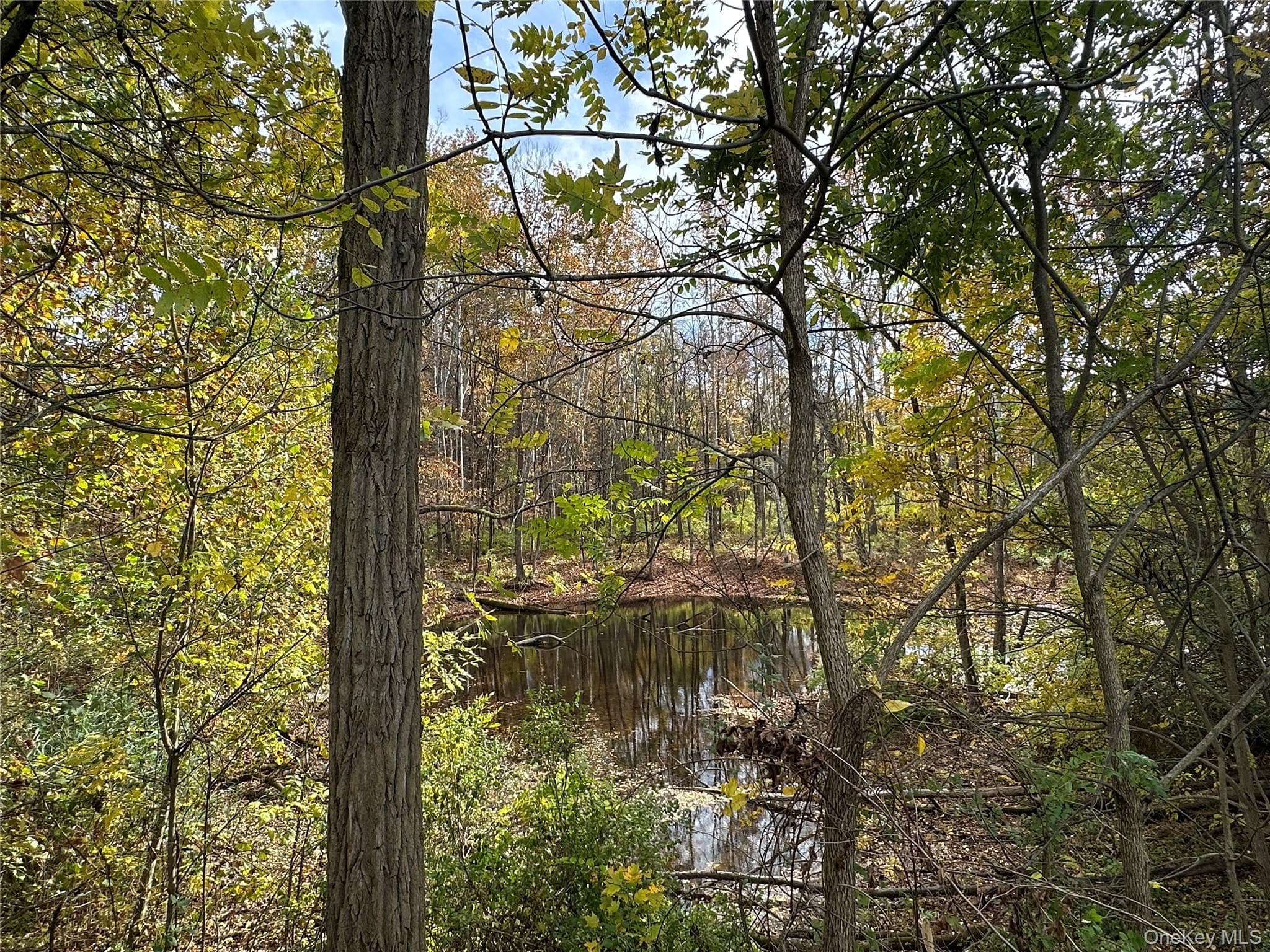 5150 Route 82 thumbnail 12