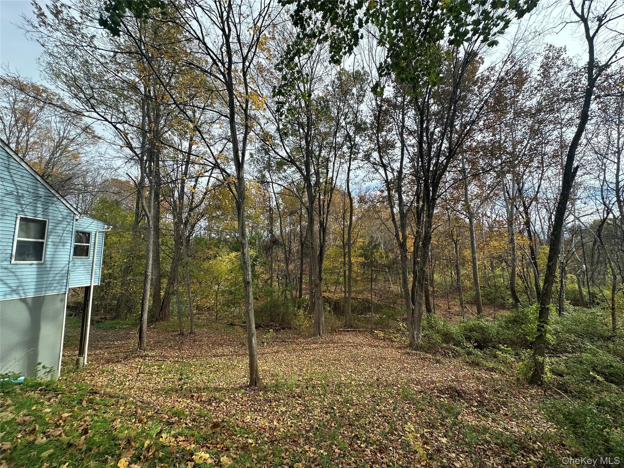5150 Route 82 thumbnail 5
