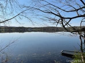 Beekman Road thumbnail 2