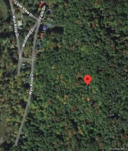 Woodland Road thumbnail 2