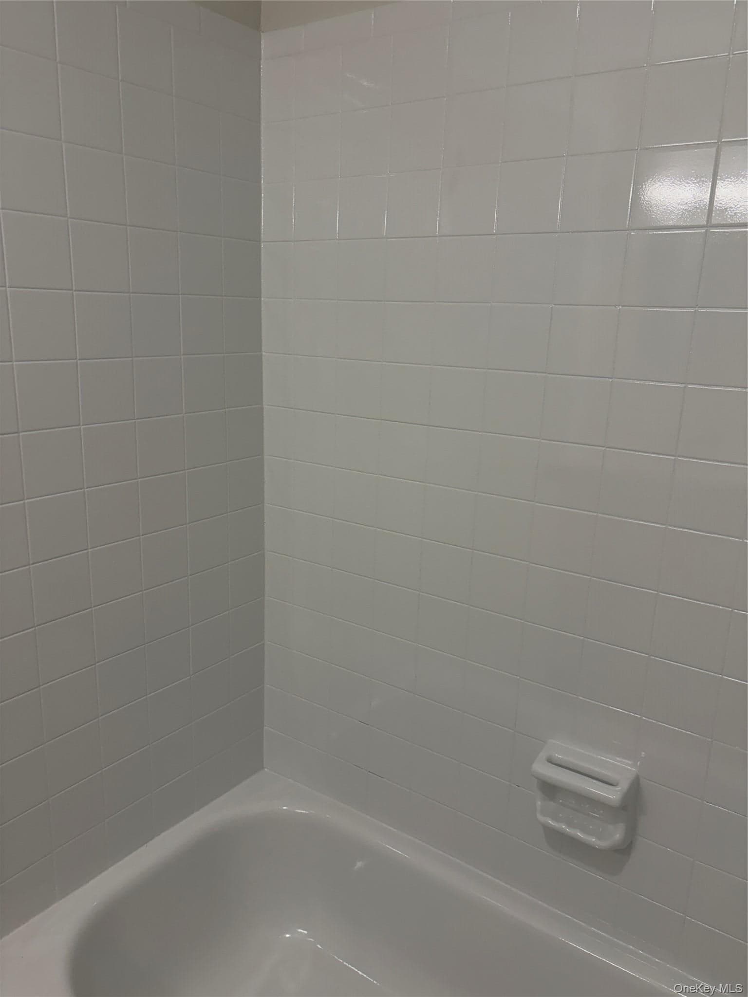 253 Richard Court thumbnail 29