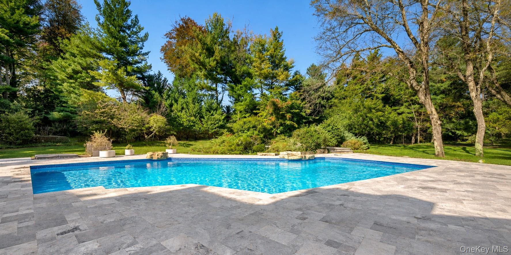 11 Surrey Lane thumbnail 43