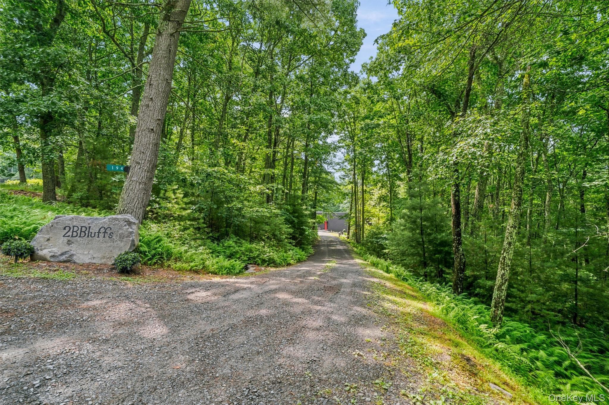 194 Mapes Road thumbnail 50