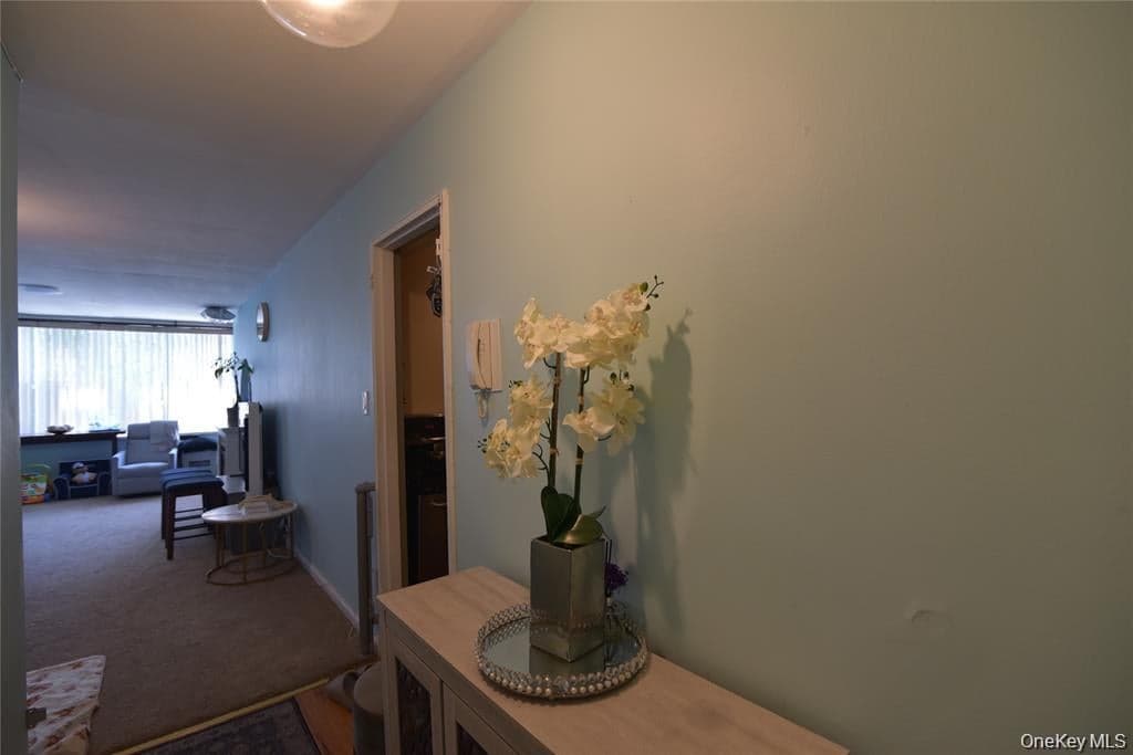 54-40 Little Neck Parkway Unit: 4A thumbnail 6