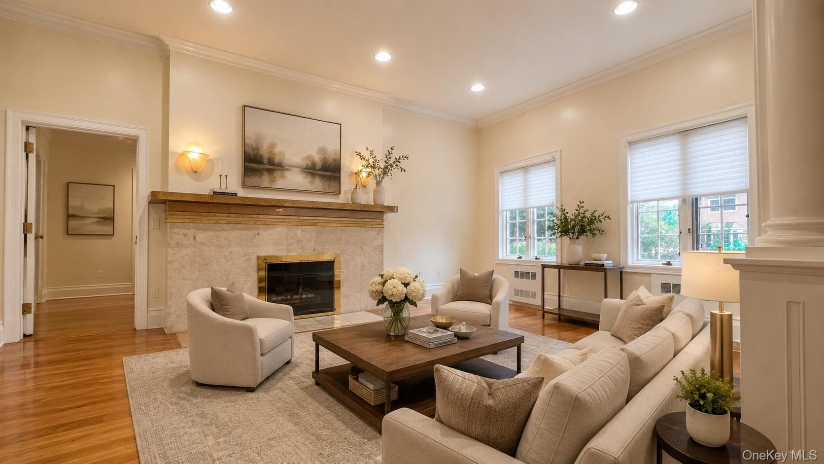 9 Nassau Drive thumbnail 5