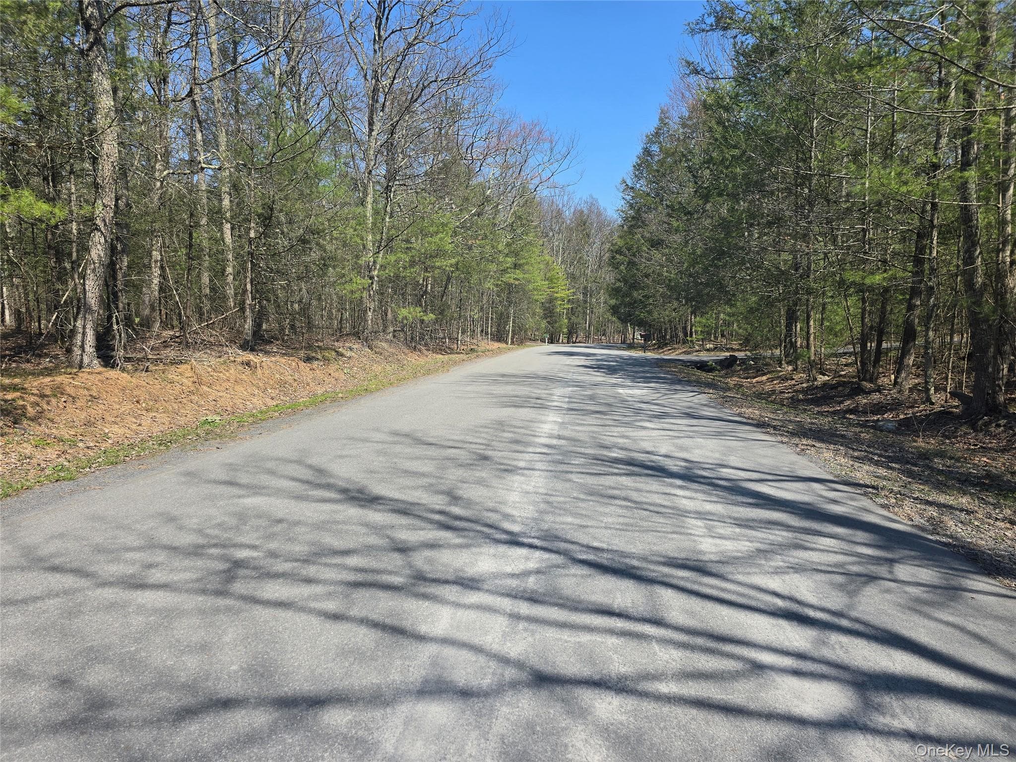 Lot 5 Evergreen Drive thumbnail 13