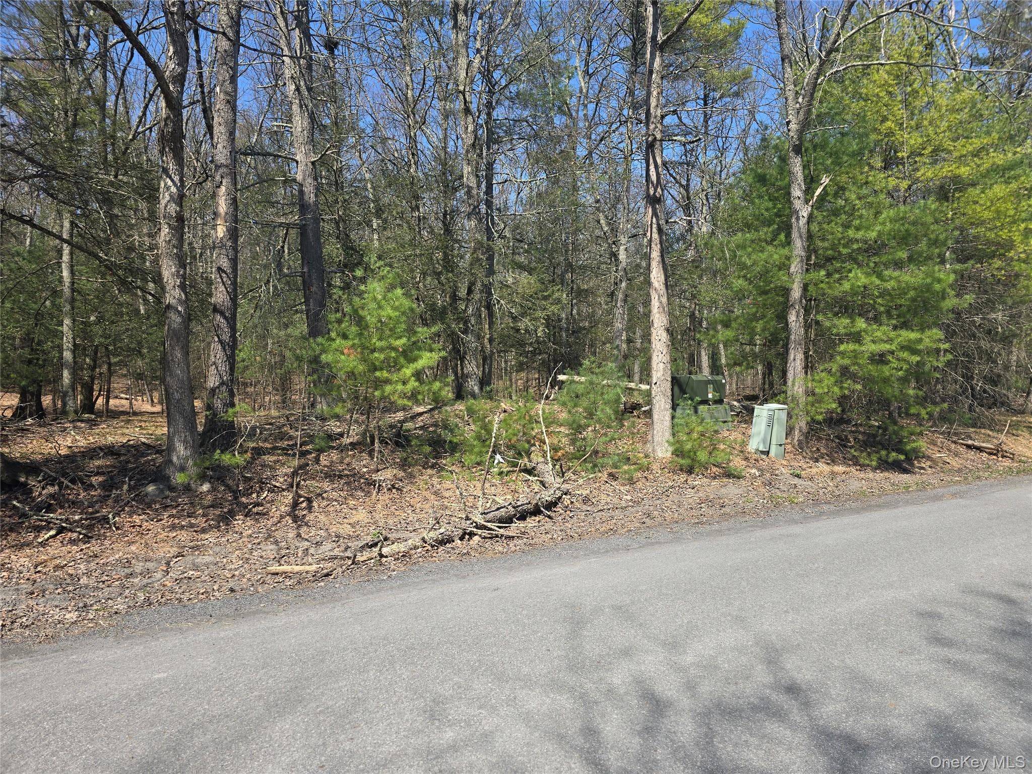 Lot 5 Evergreen Drive thumbnail 14