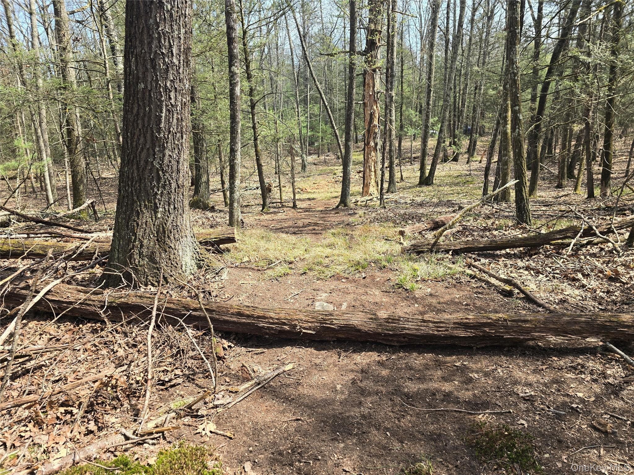 Lot 5 Evergreen Drive thumbnail 5