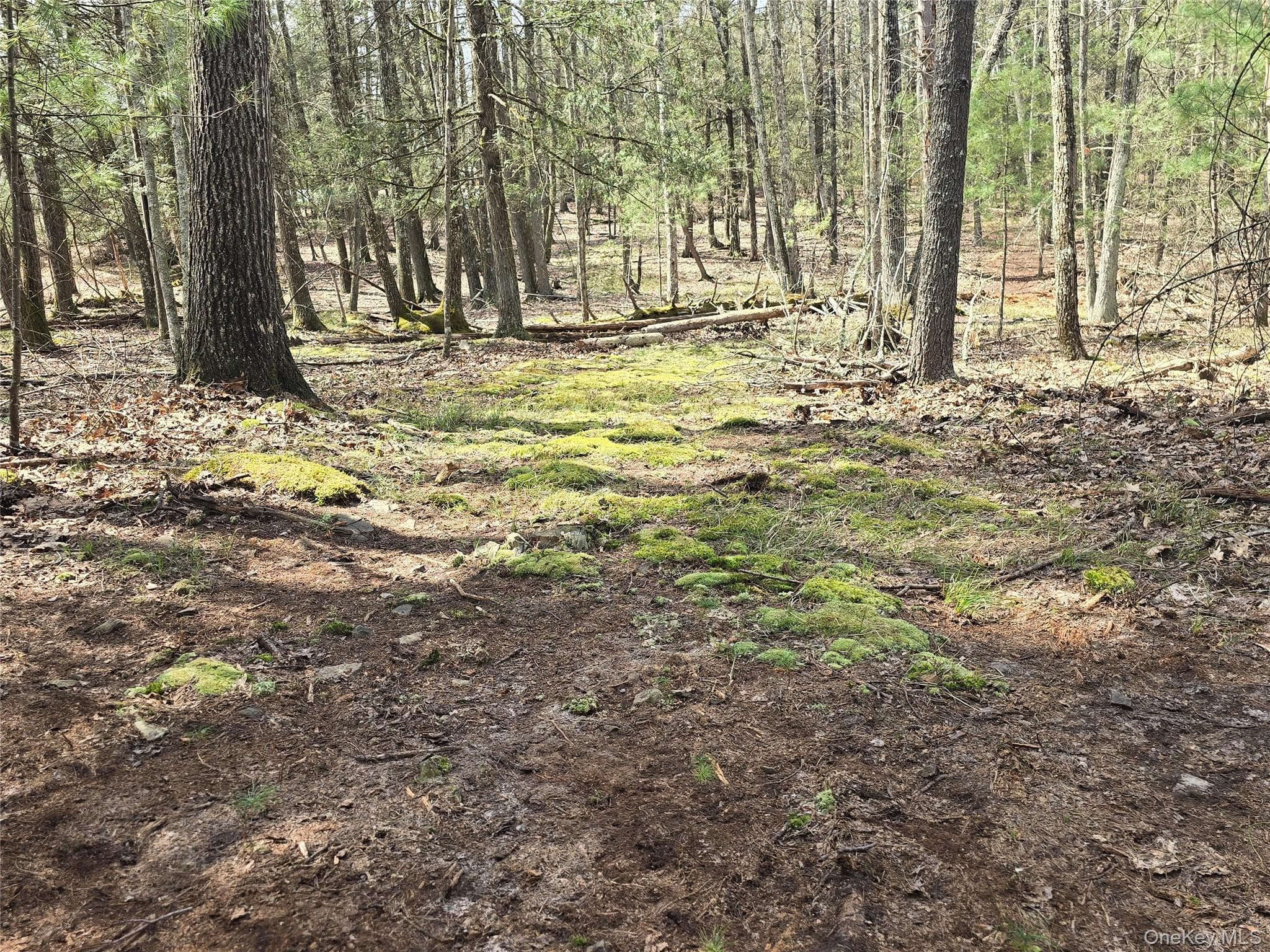 Lot 5 Evergreen Drive photo 1
