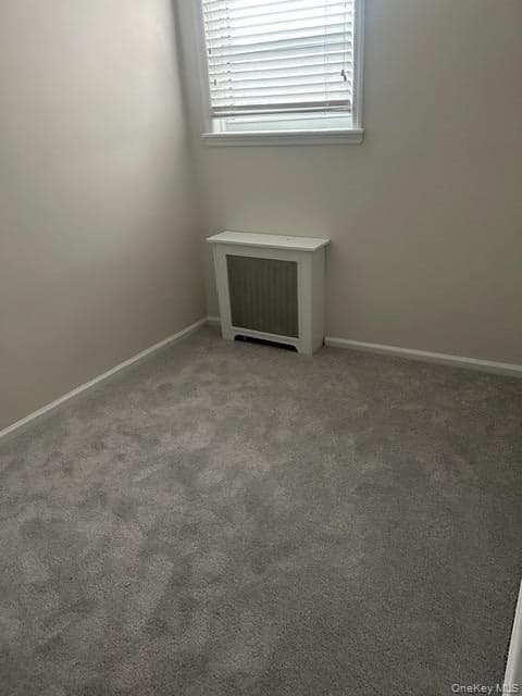 254-11 73rd Road Unit: Unit B thumbnail 5