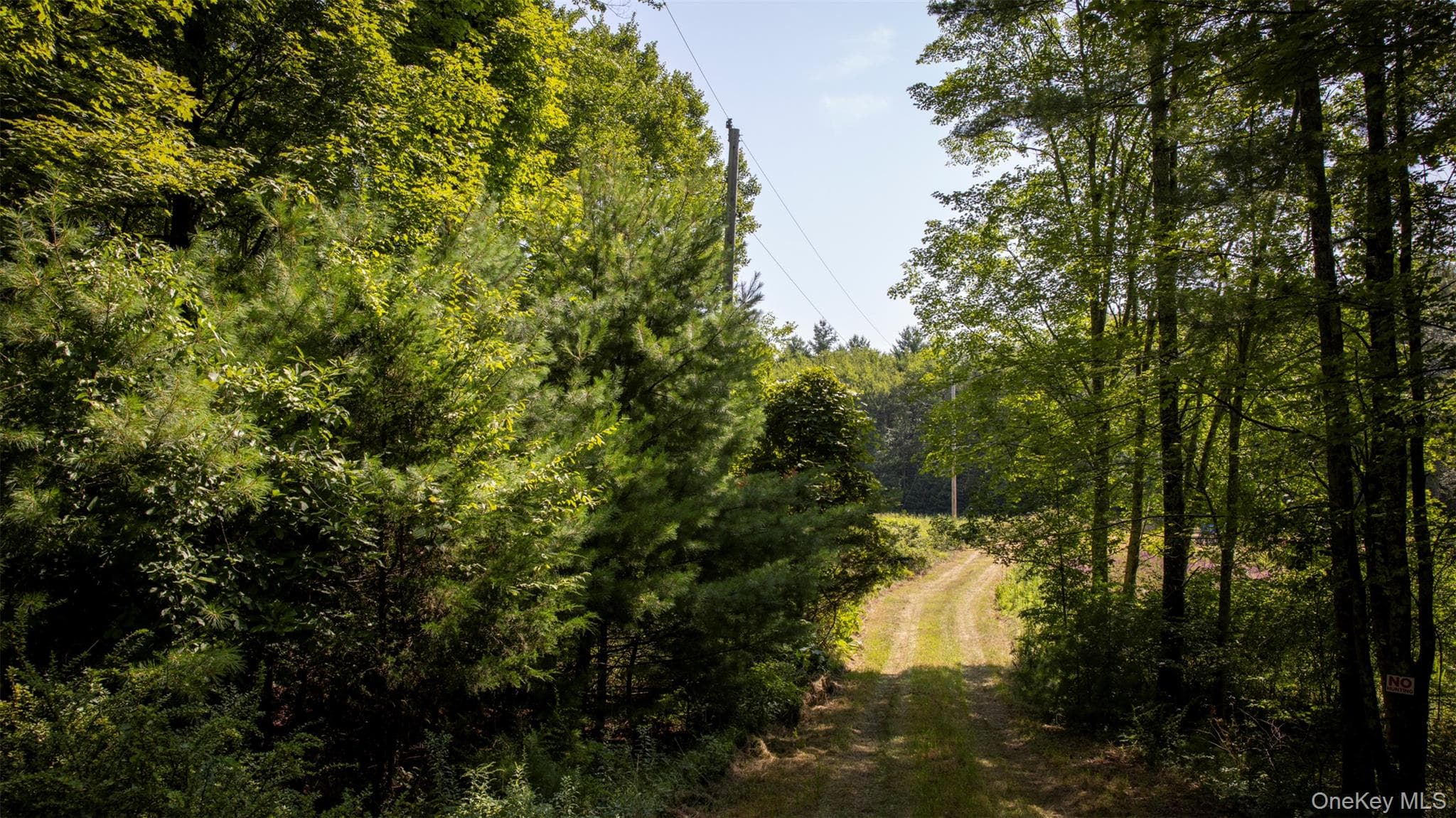 327 Phillips Road thumbnail 4