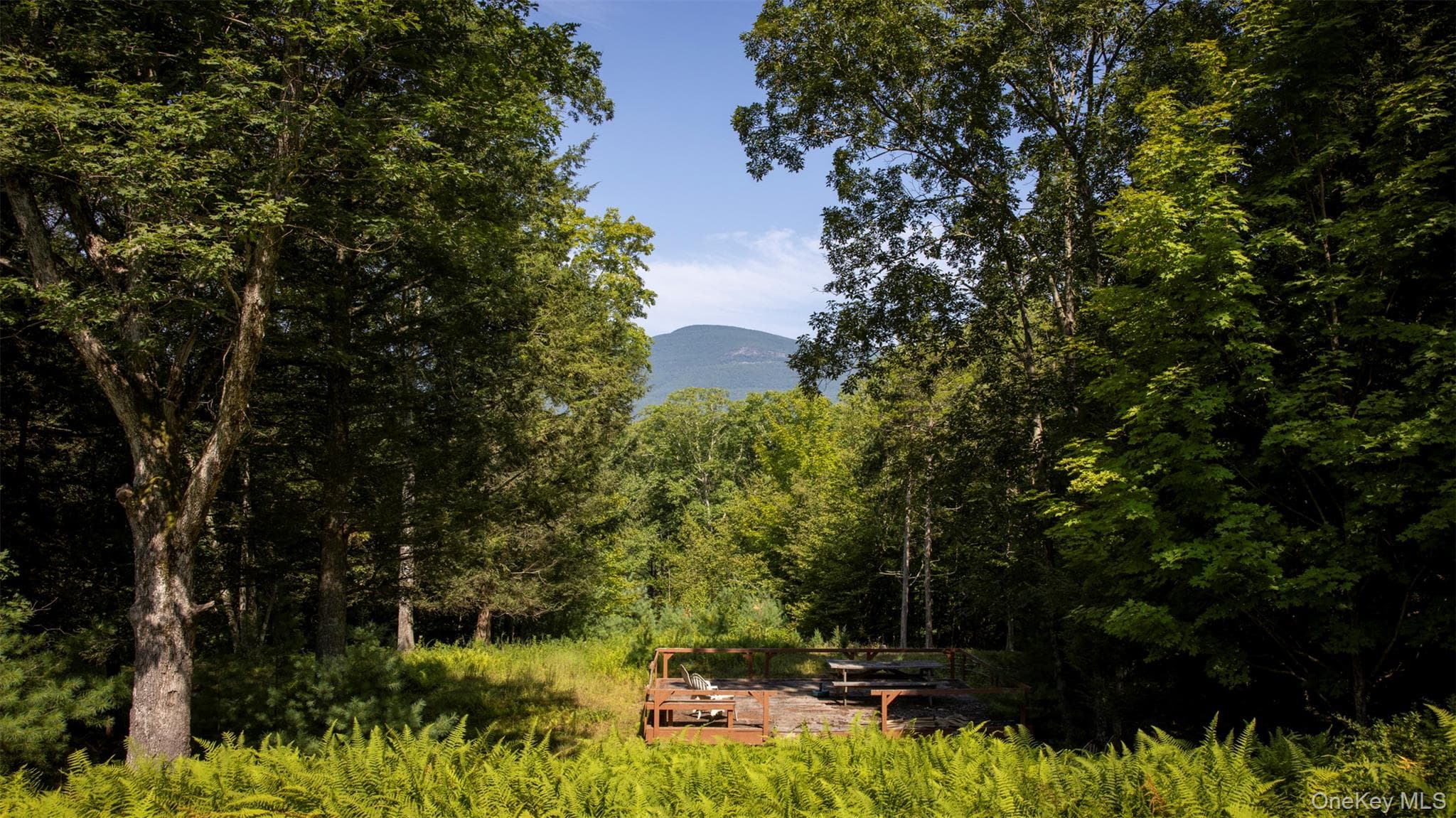 327 Phillips Road thumbnail 16