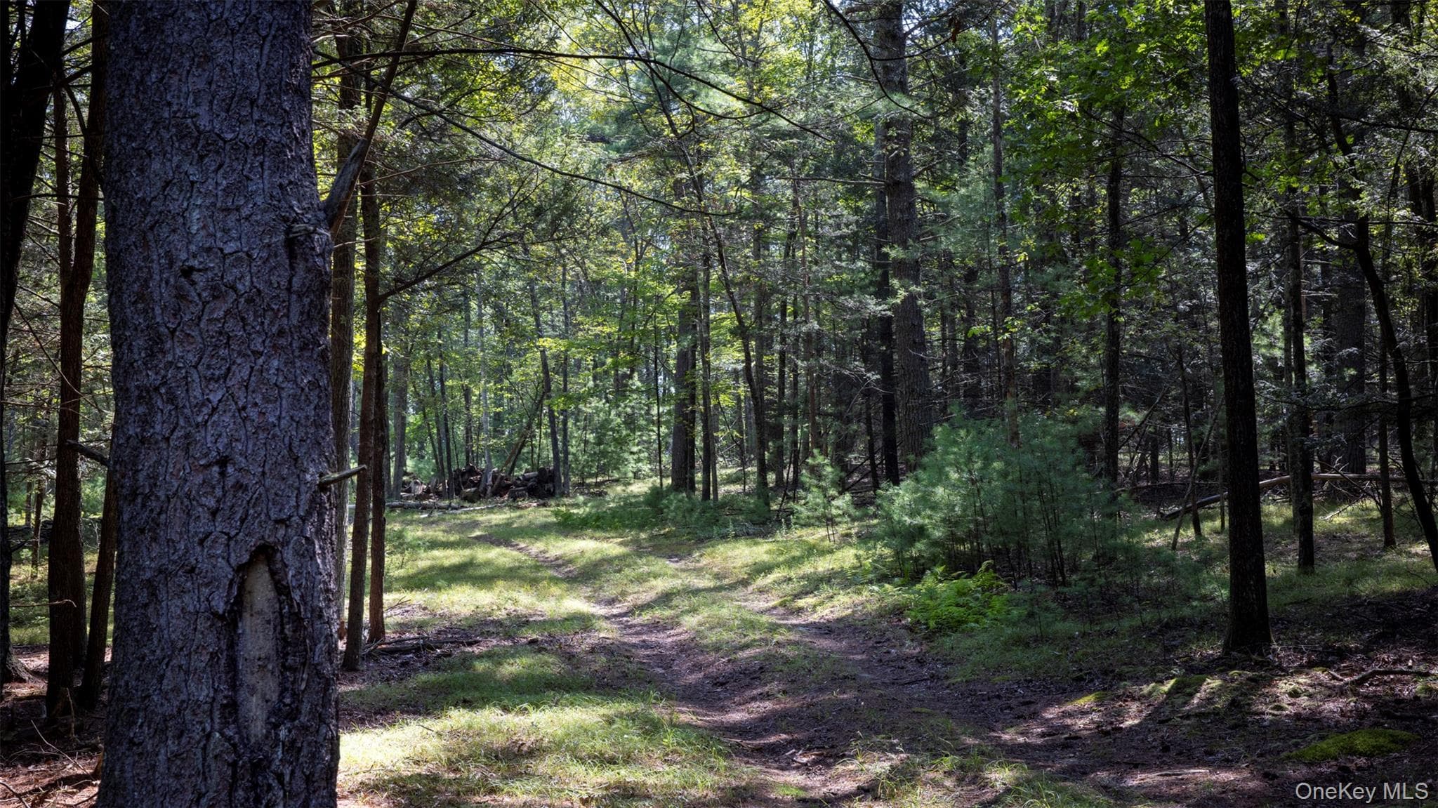327 Phillips Road thumbnail 9