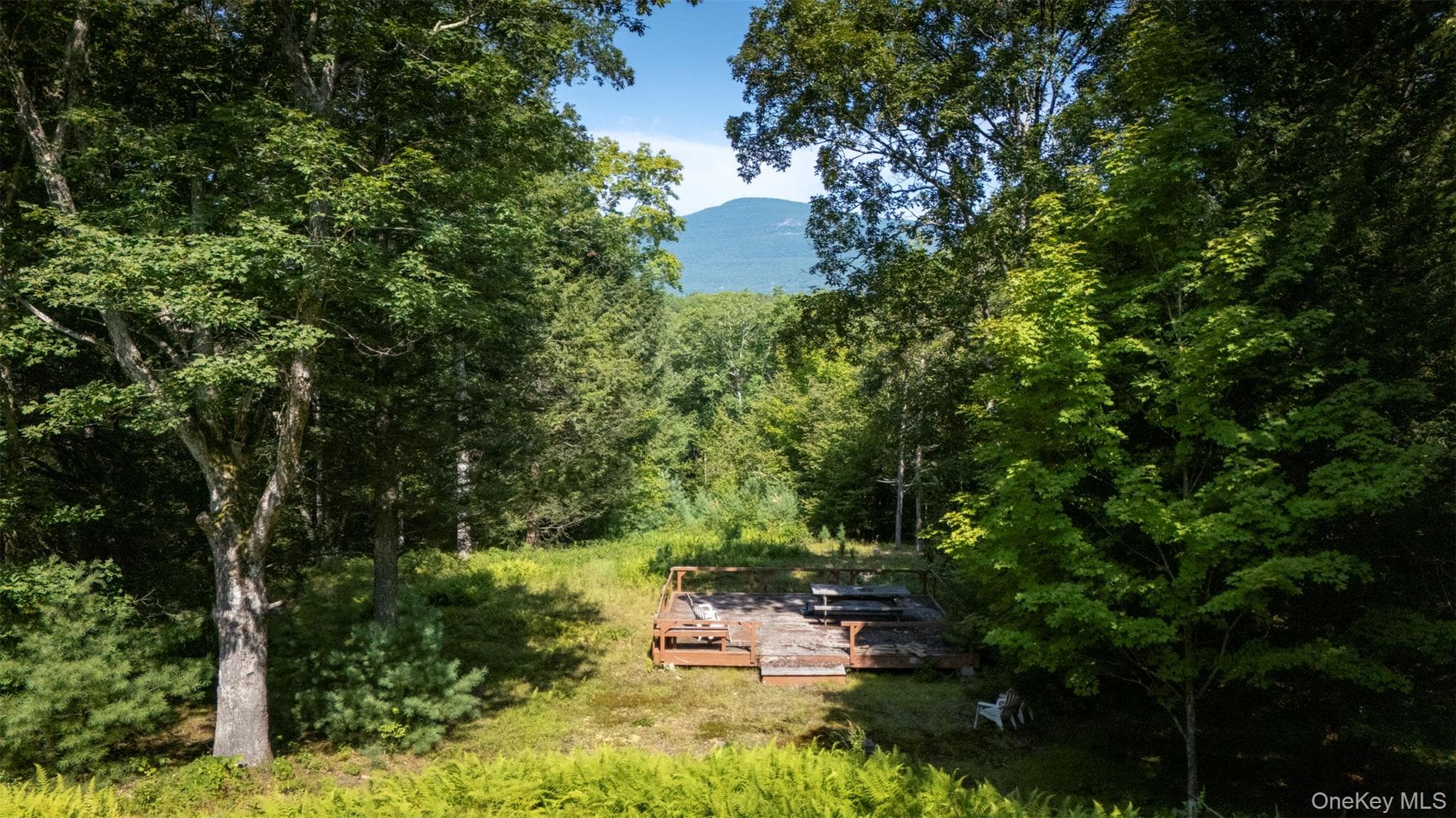 327 Phillips Road, Saugerties