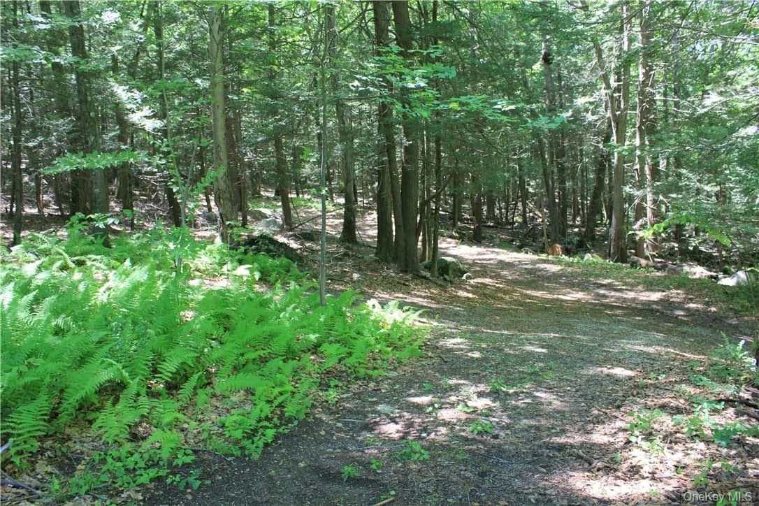 Rolling Meadow Lane thumbnail 4