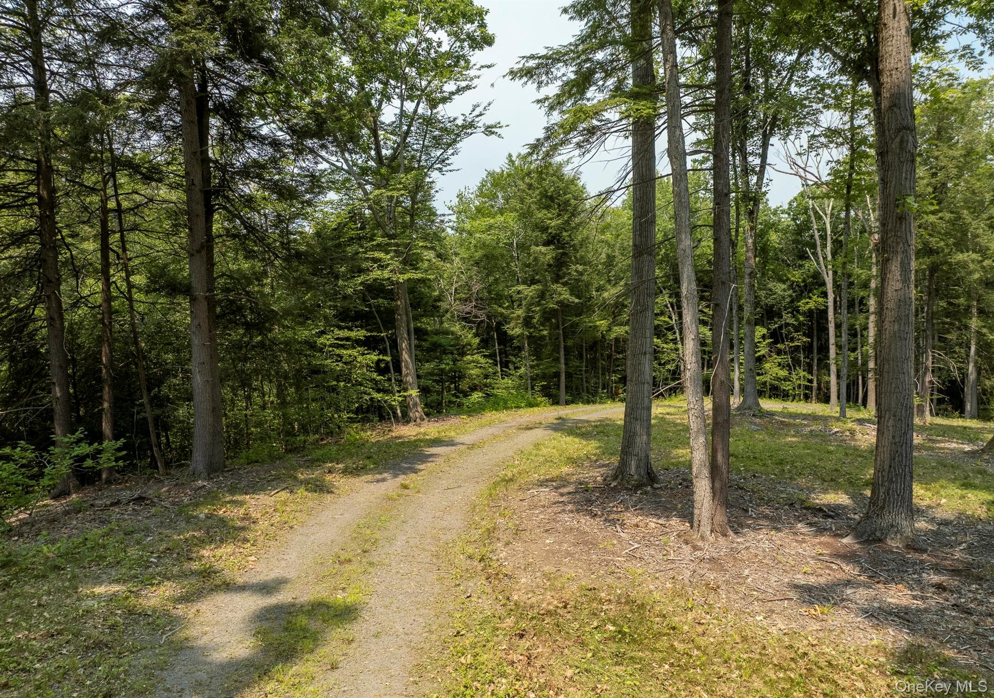 276 E Hill Road thumbnail 5
