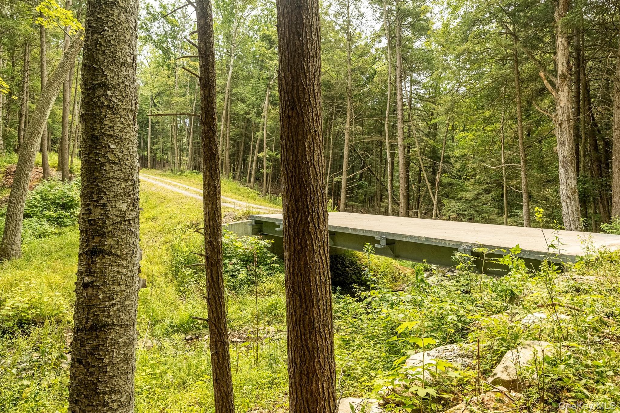 276 E Hill Road thumbnail 11